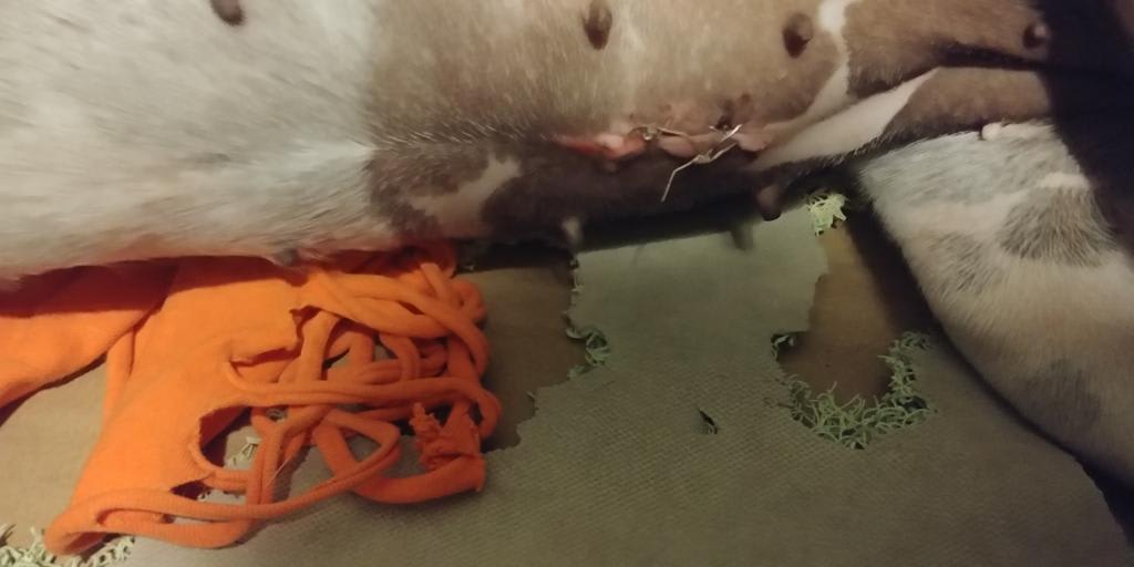 Question details sensitive content