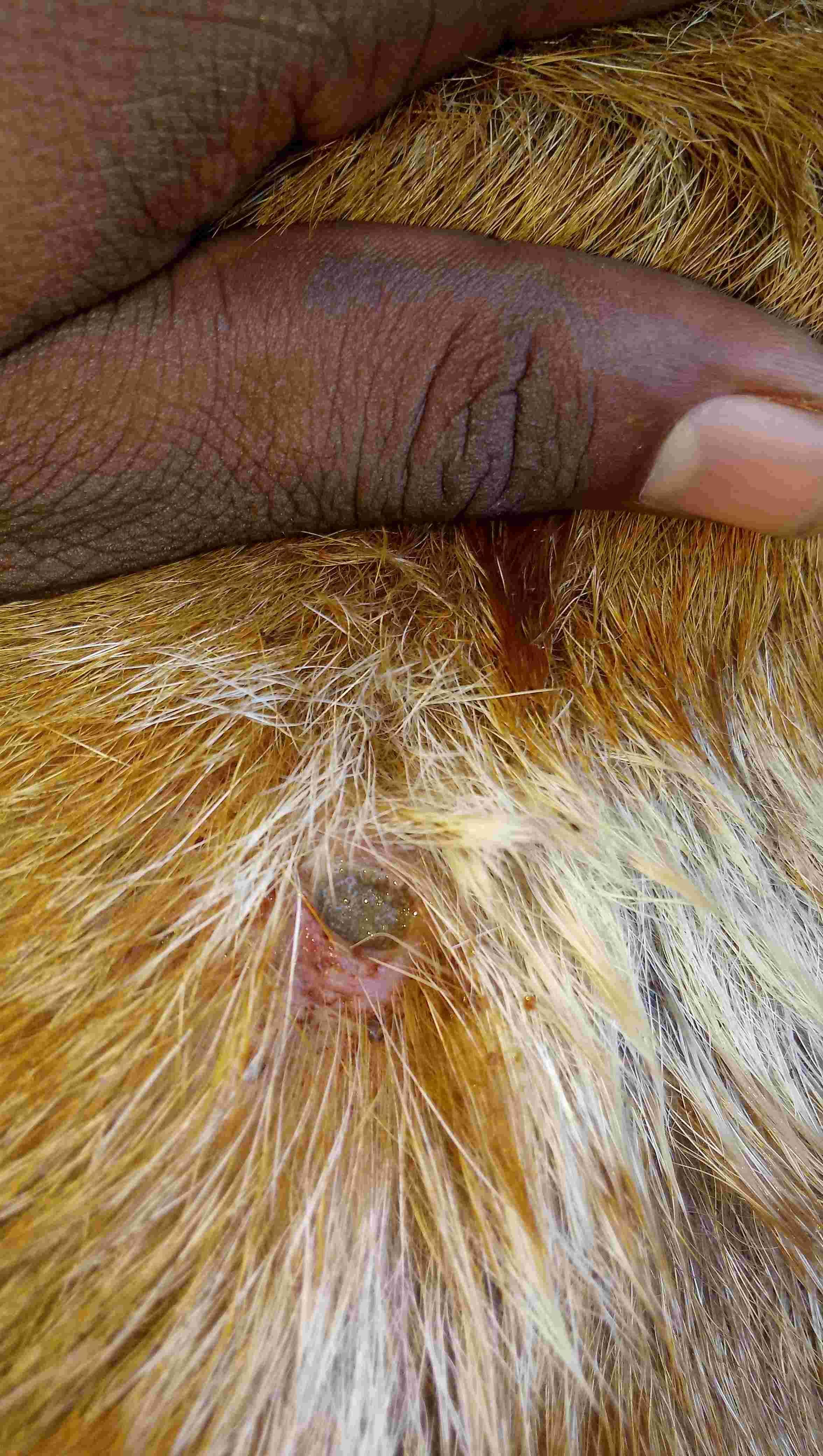 Question details sensitive content