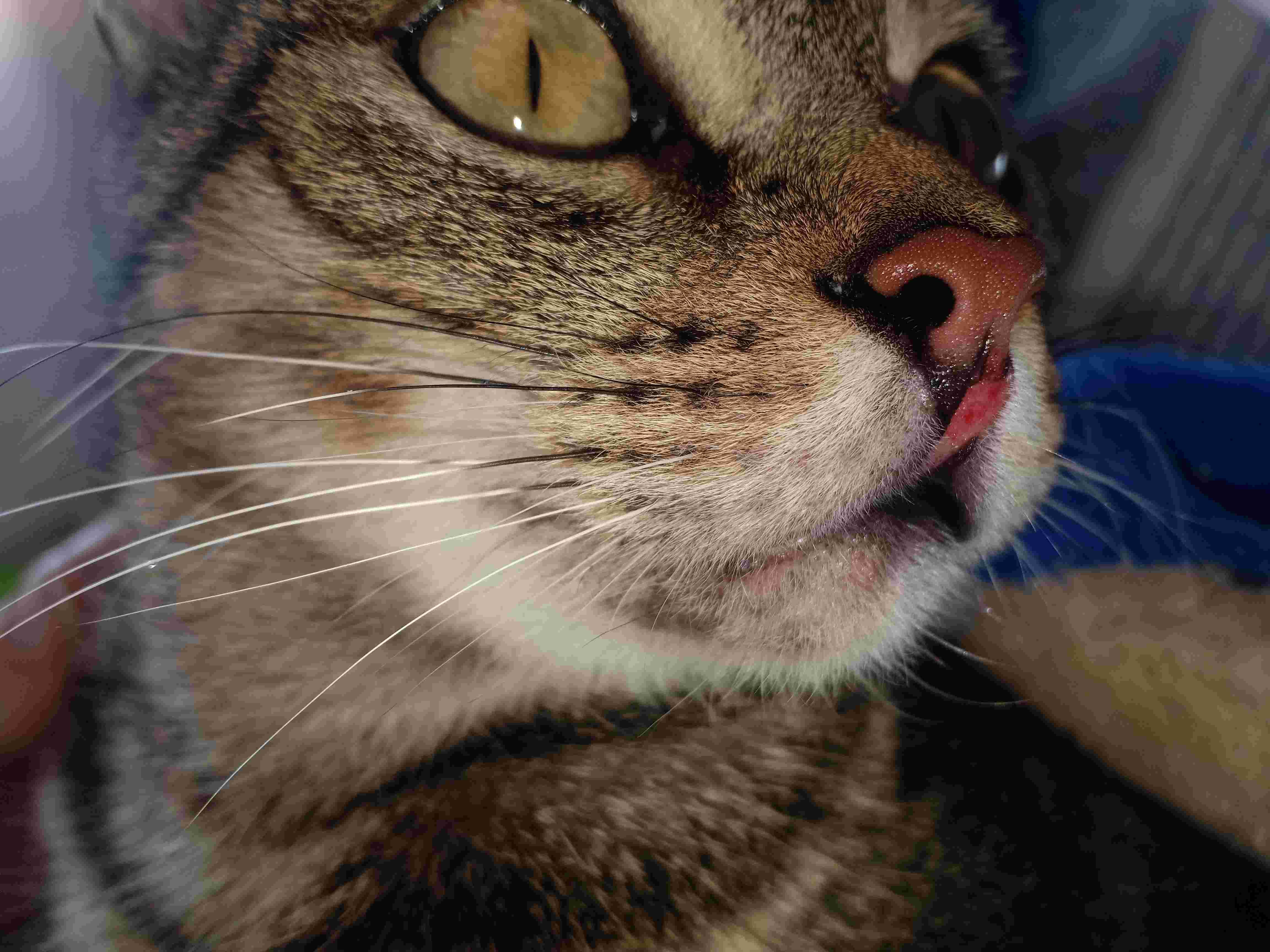 Question details sensitive content