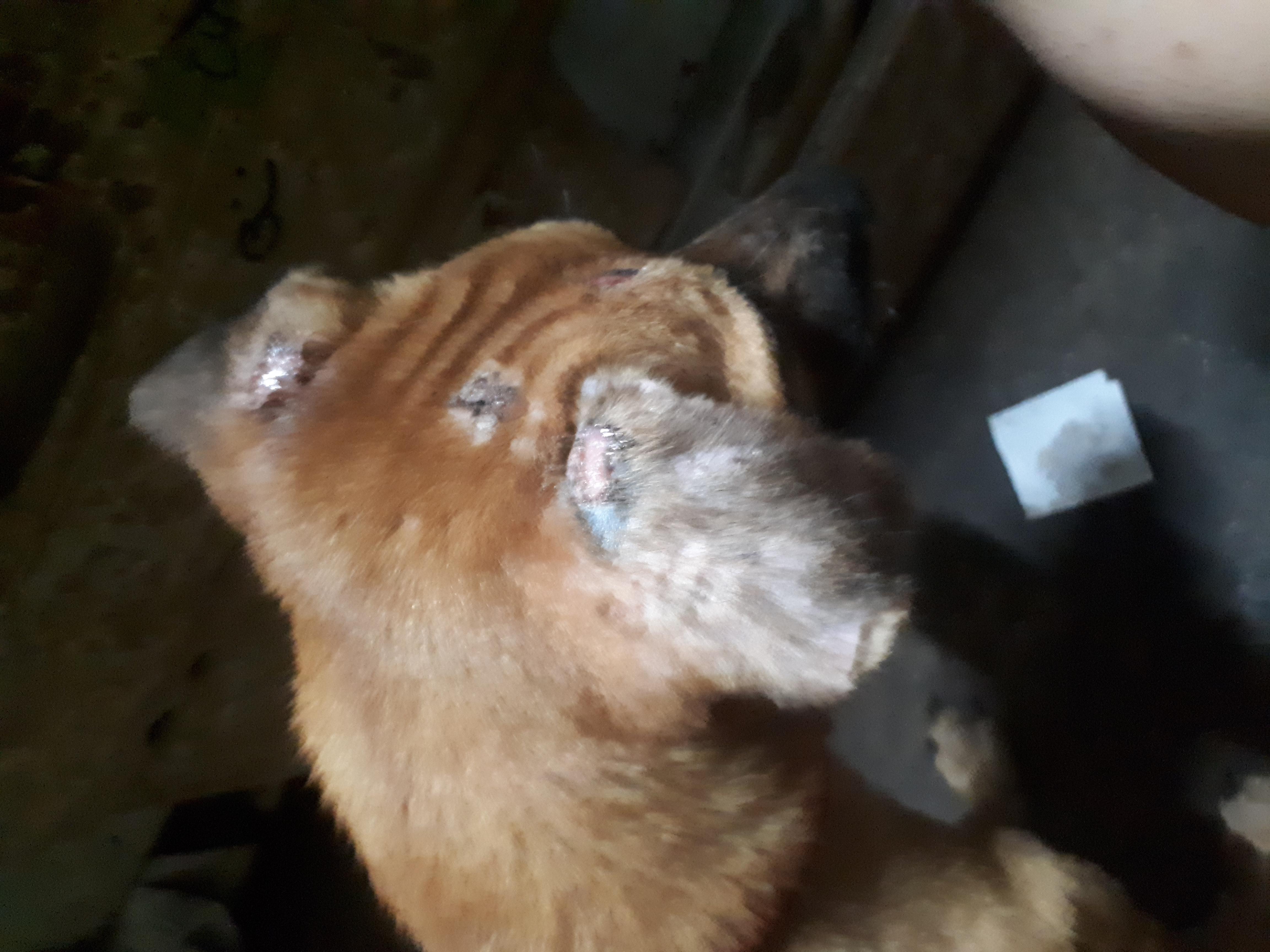 Question details sensitive content