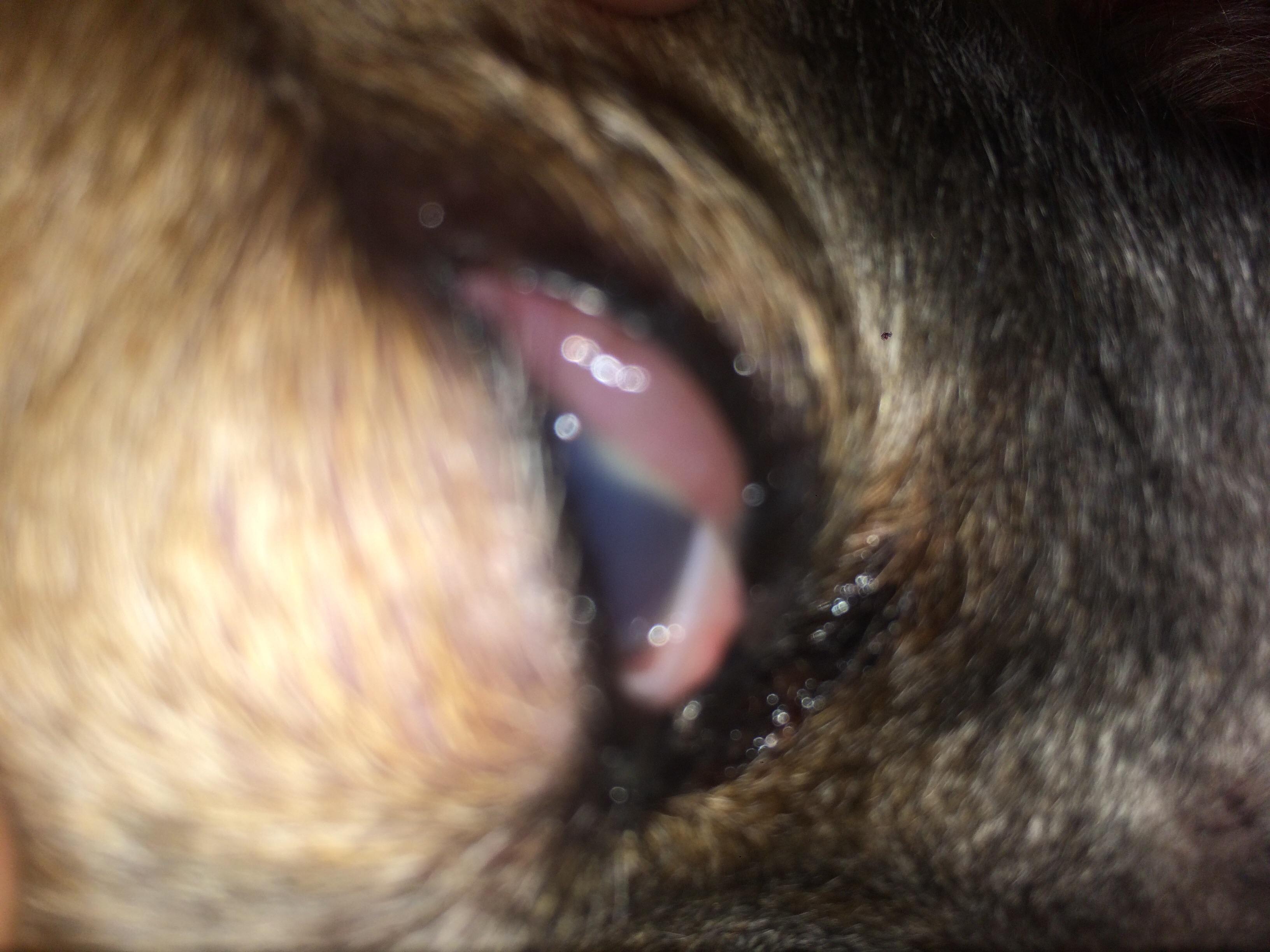 Question details sensitive content