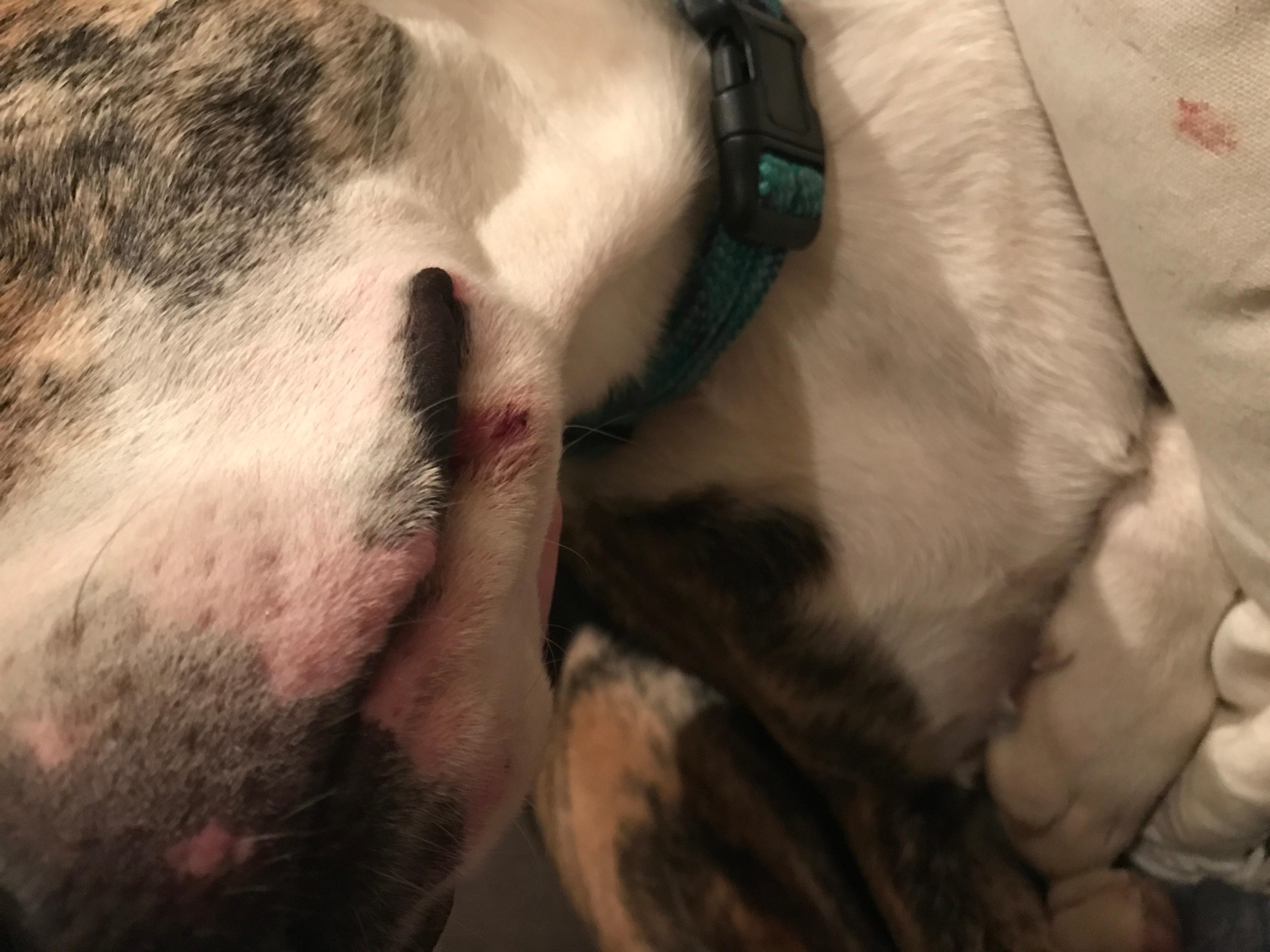 Question details sensitive content