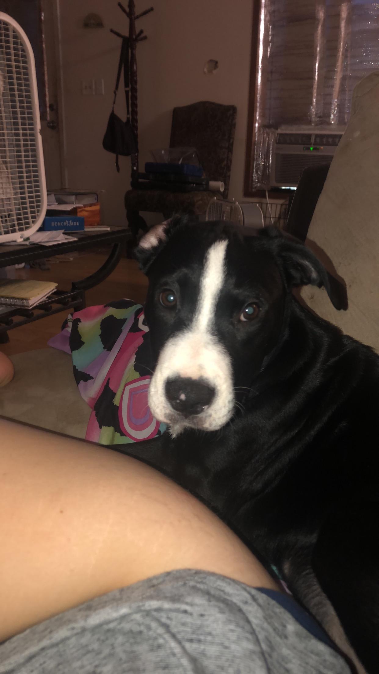 Question details sensitive content