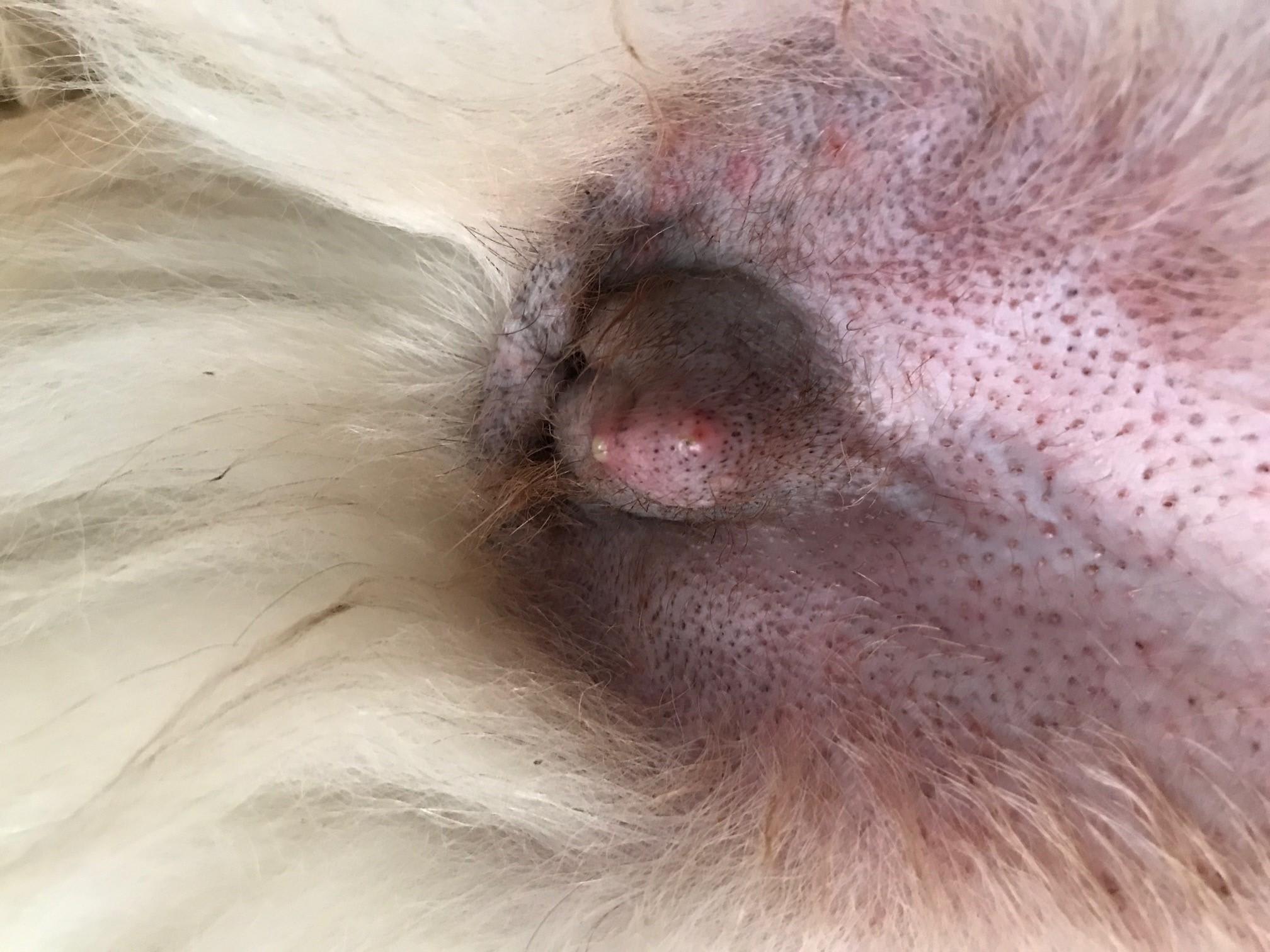 Question details sensitive content