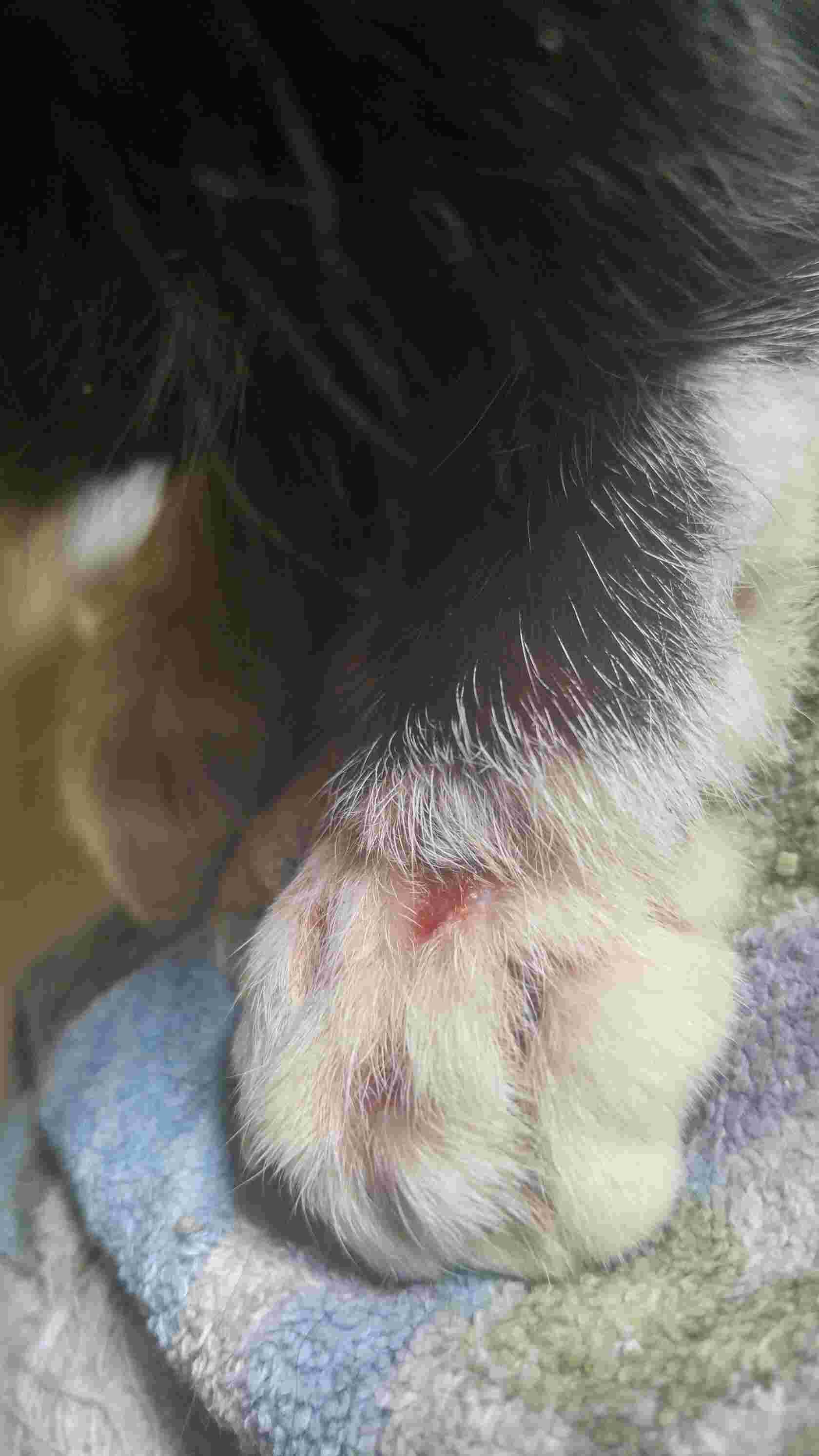 Question details sensitive content