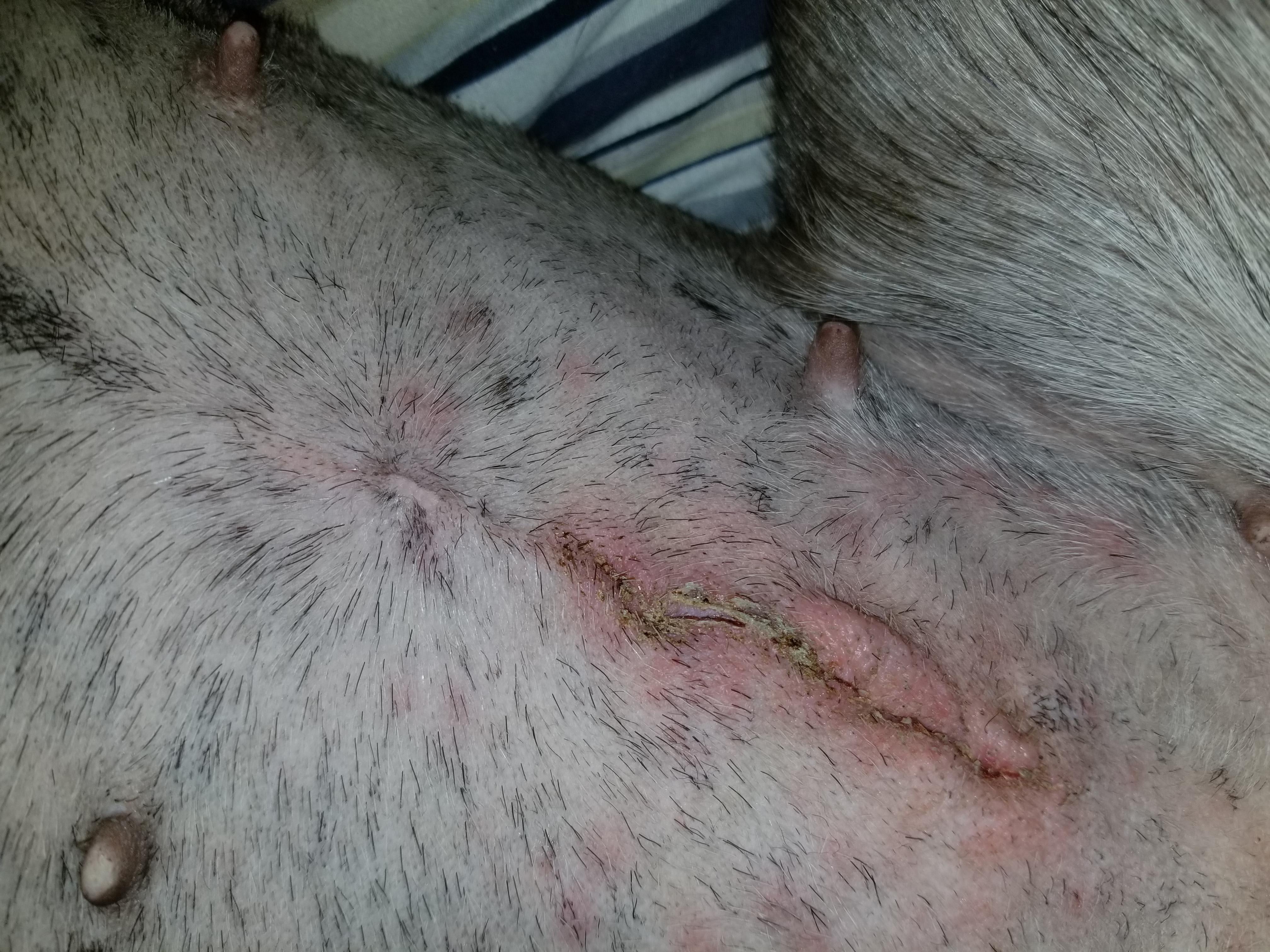 Question details sensitive content