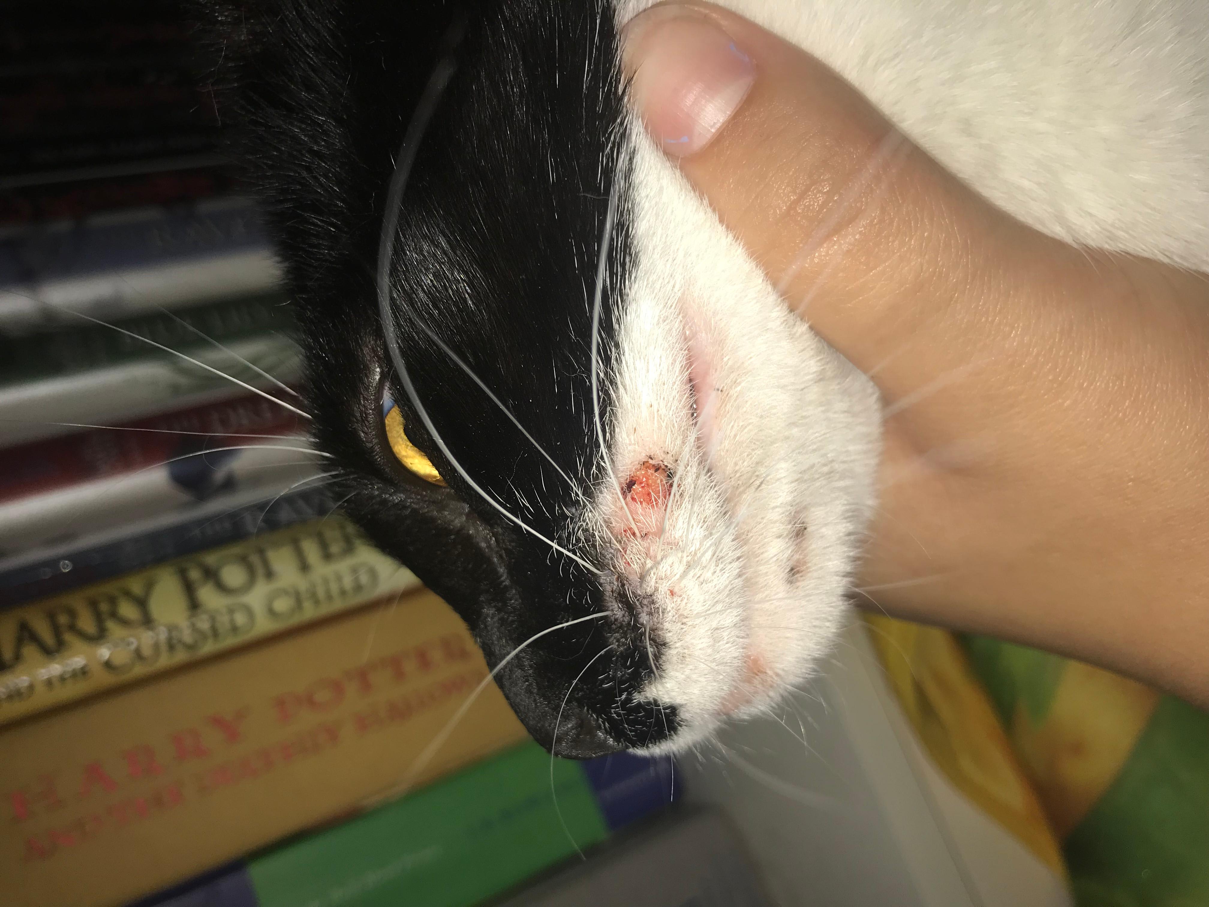 Question details sensitive content