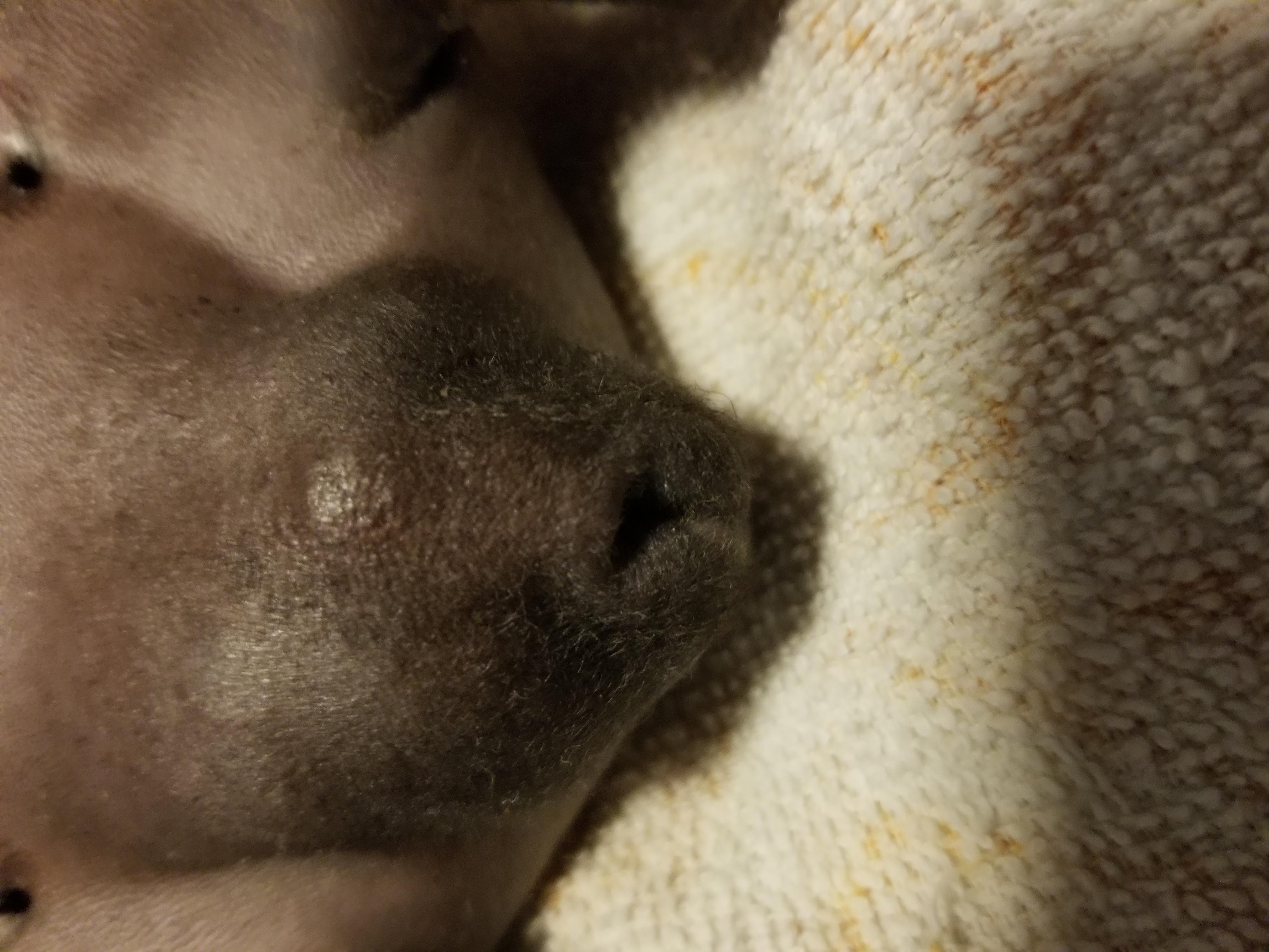 Question details sensitive content