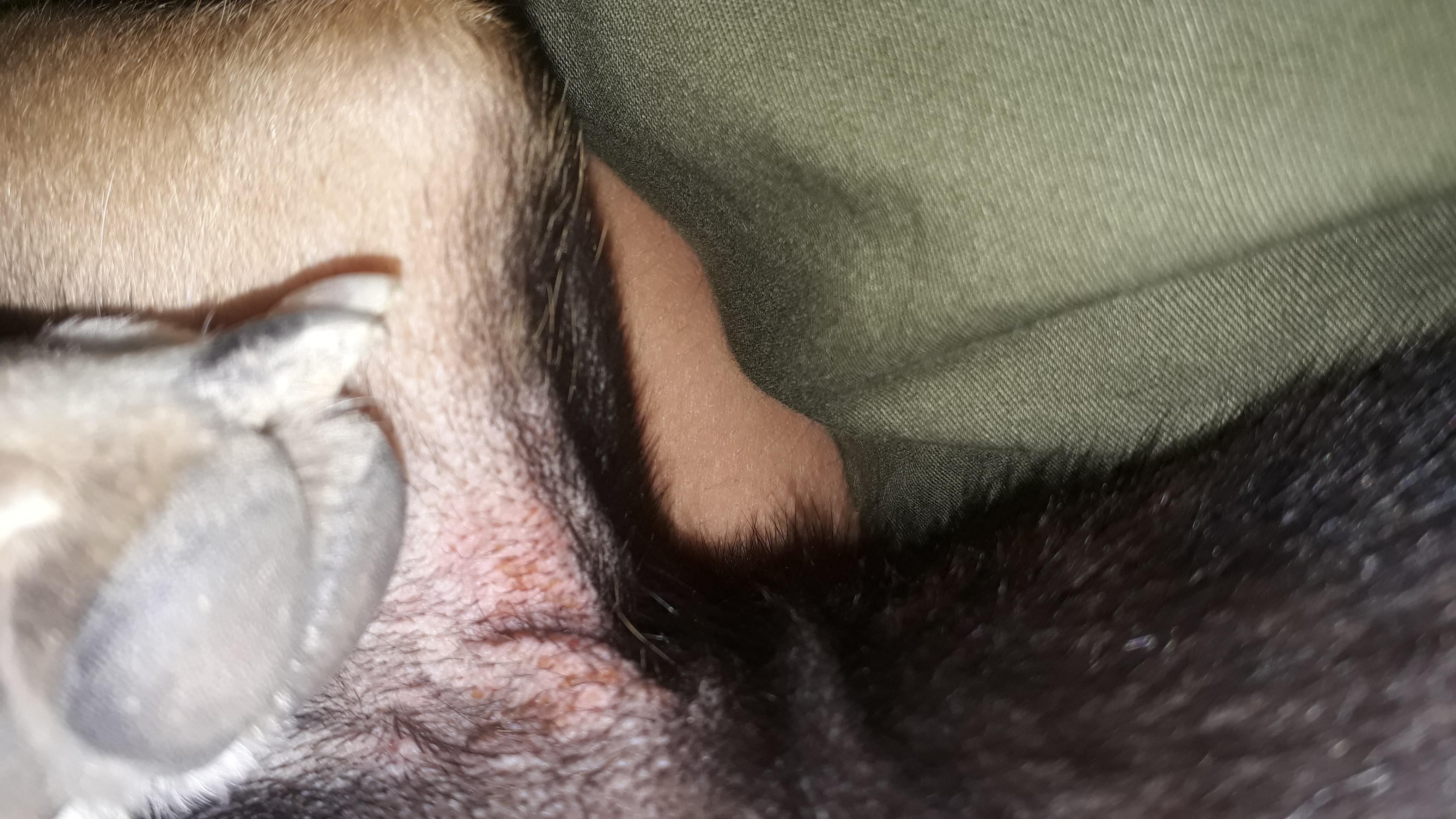 Question details sensitive content