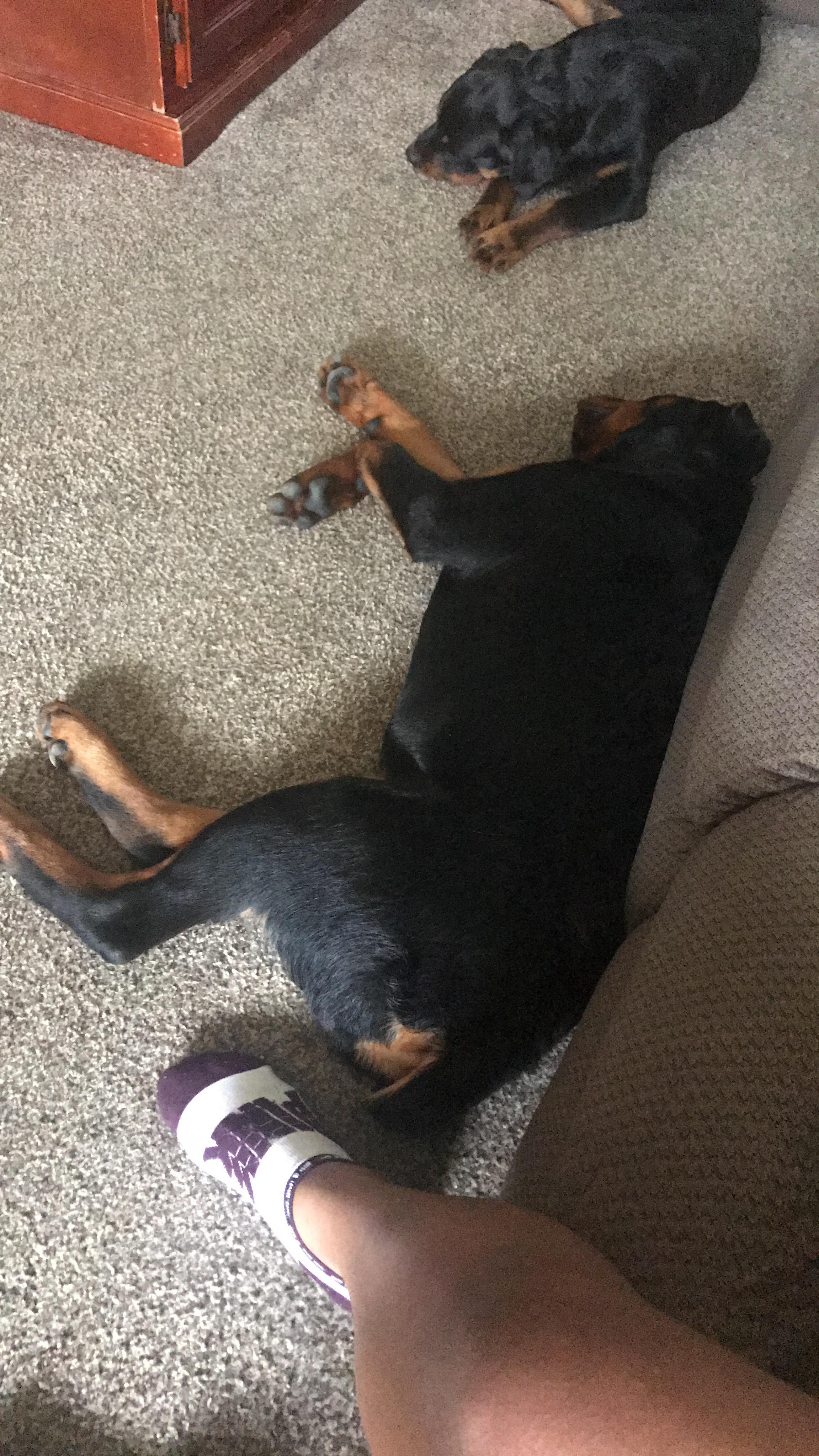 Question details sensitive content