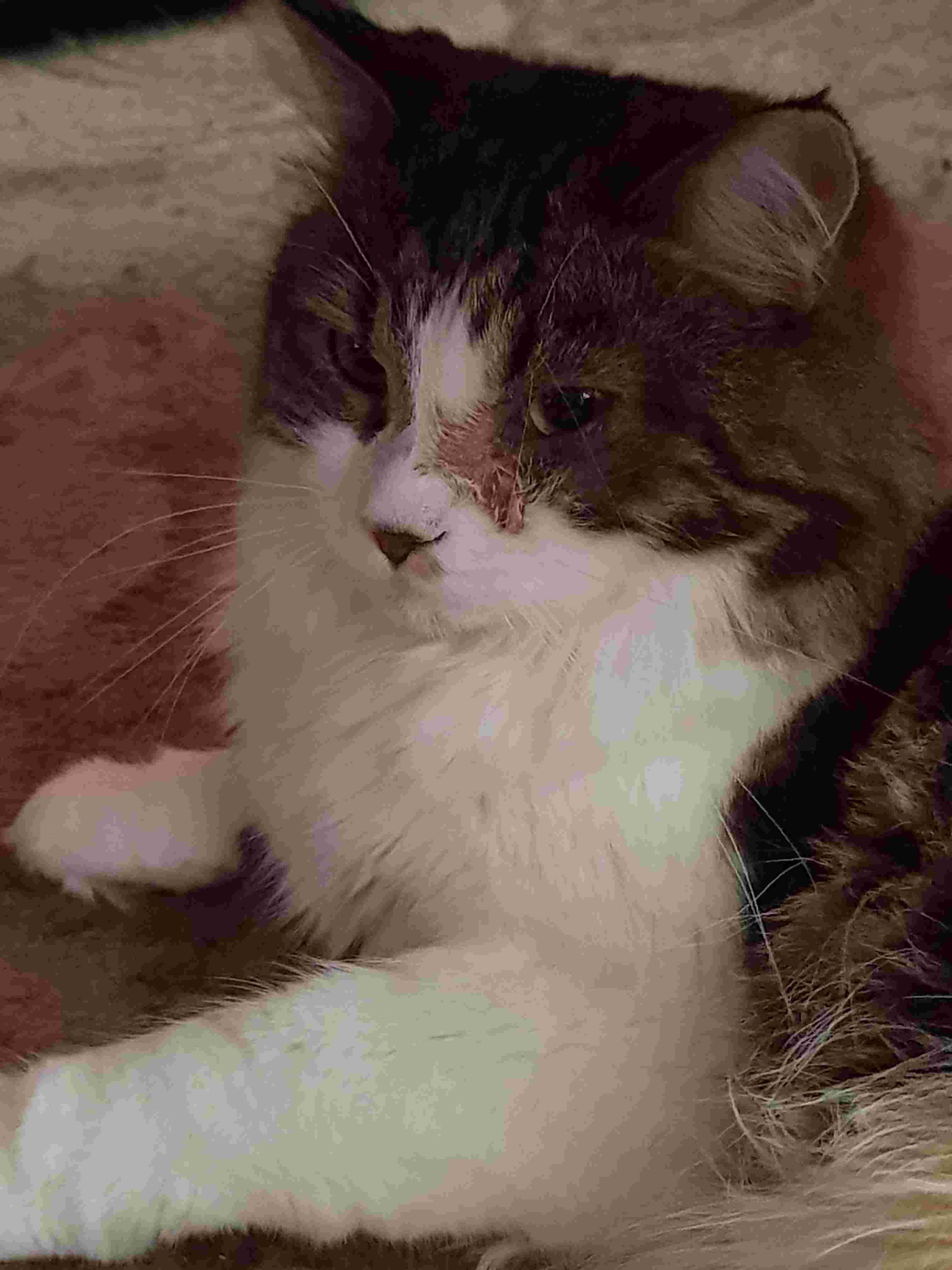 Question details sensitive content