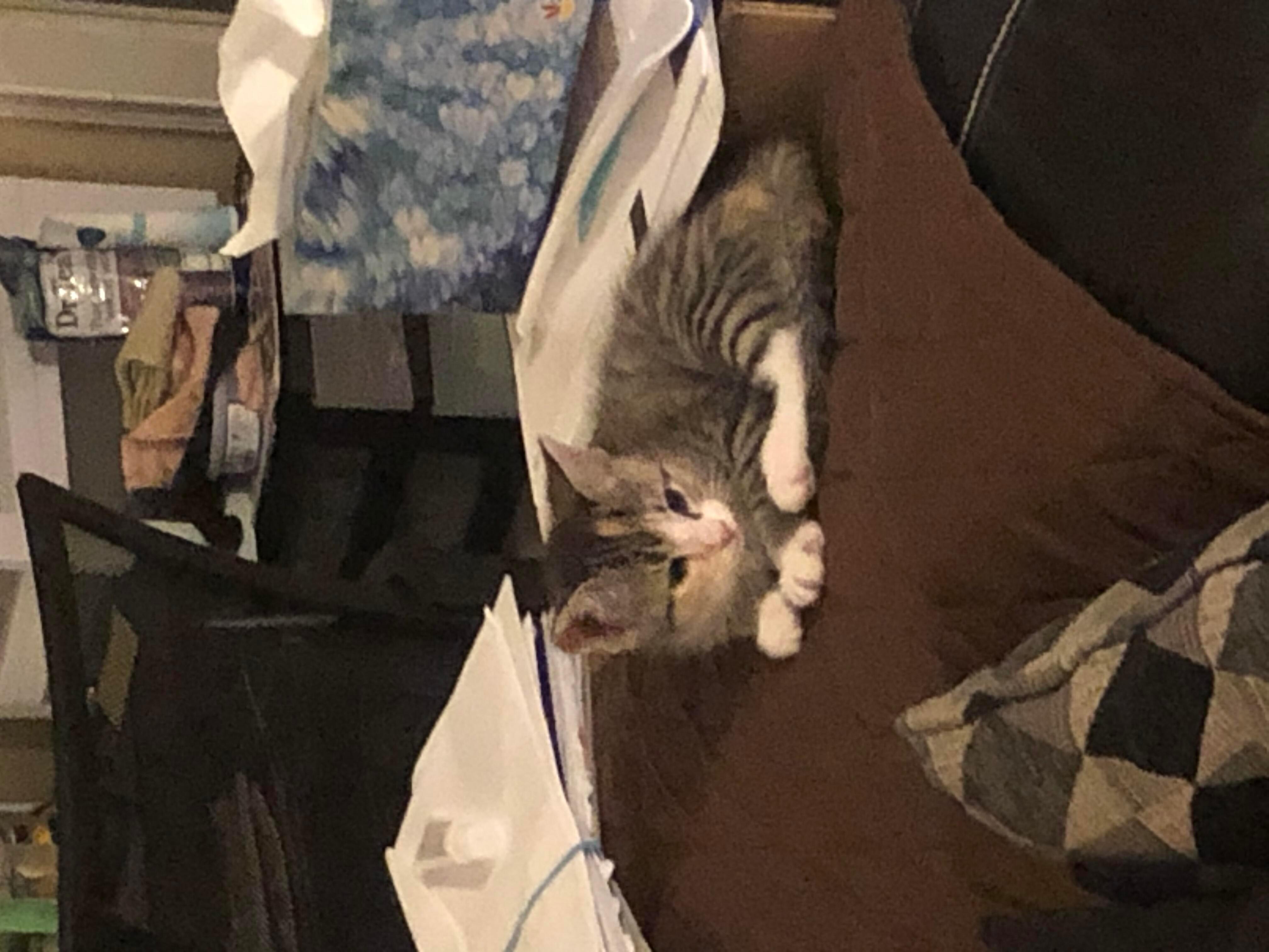 Question details sensitive content