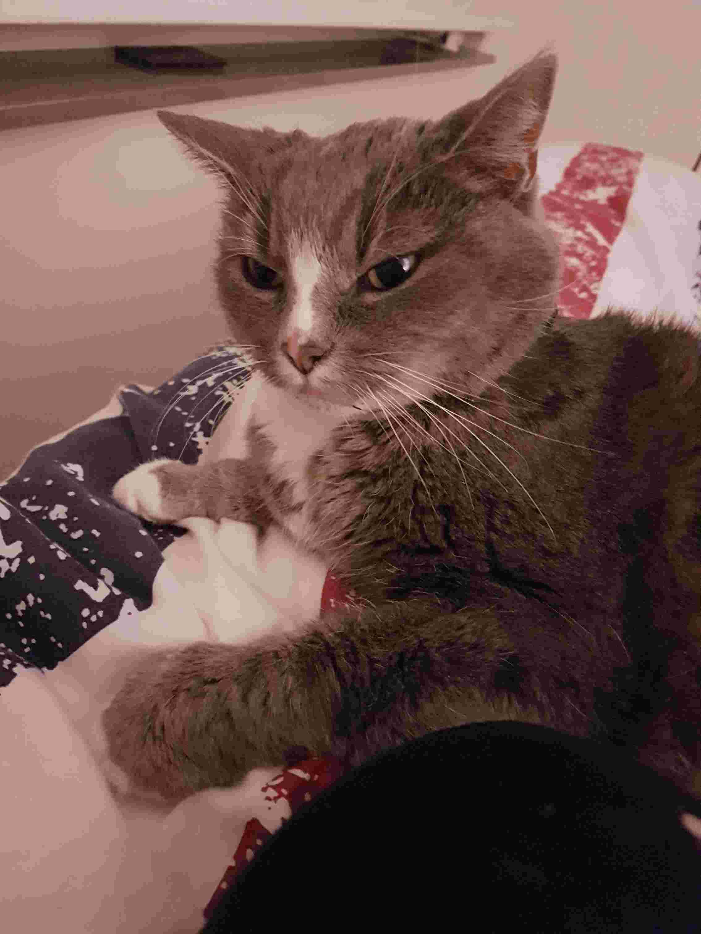 Question details sensitive content