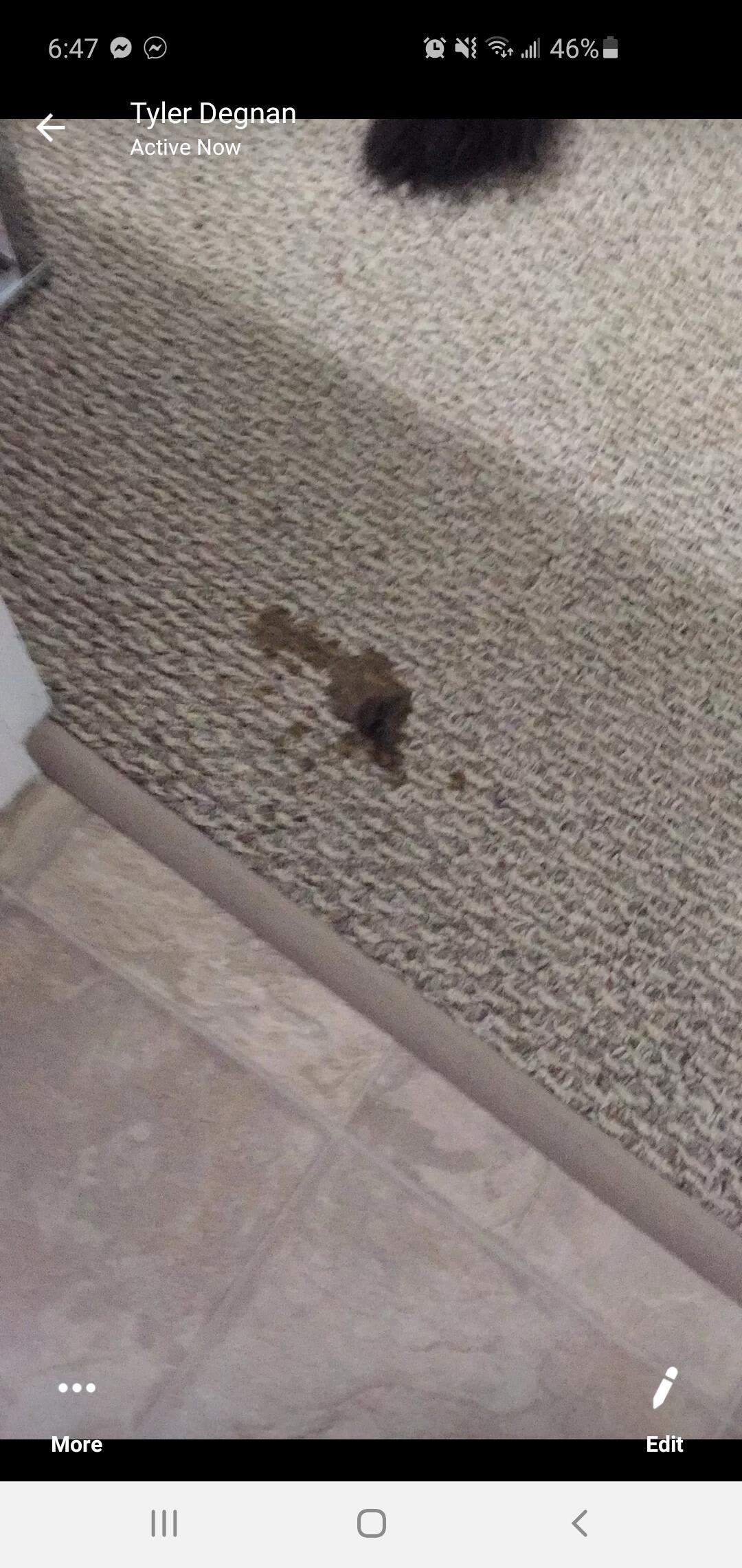 Question details sensitive content