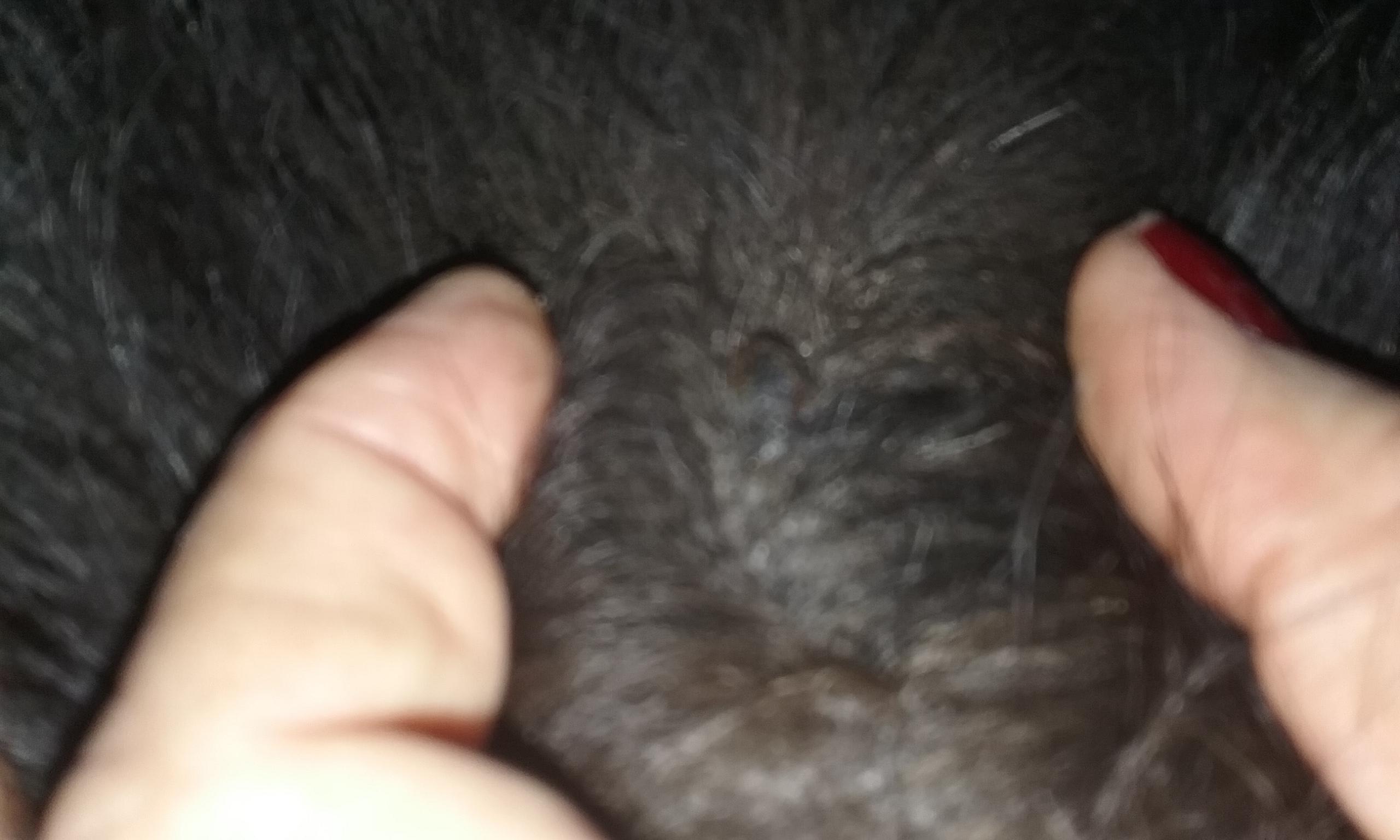 Question details sensitive content