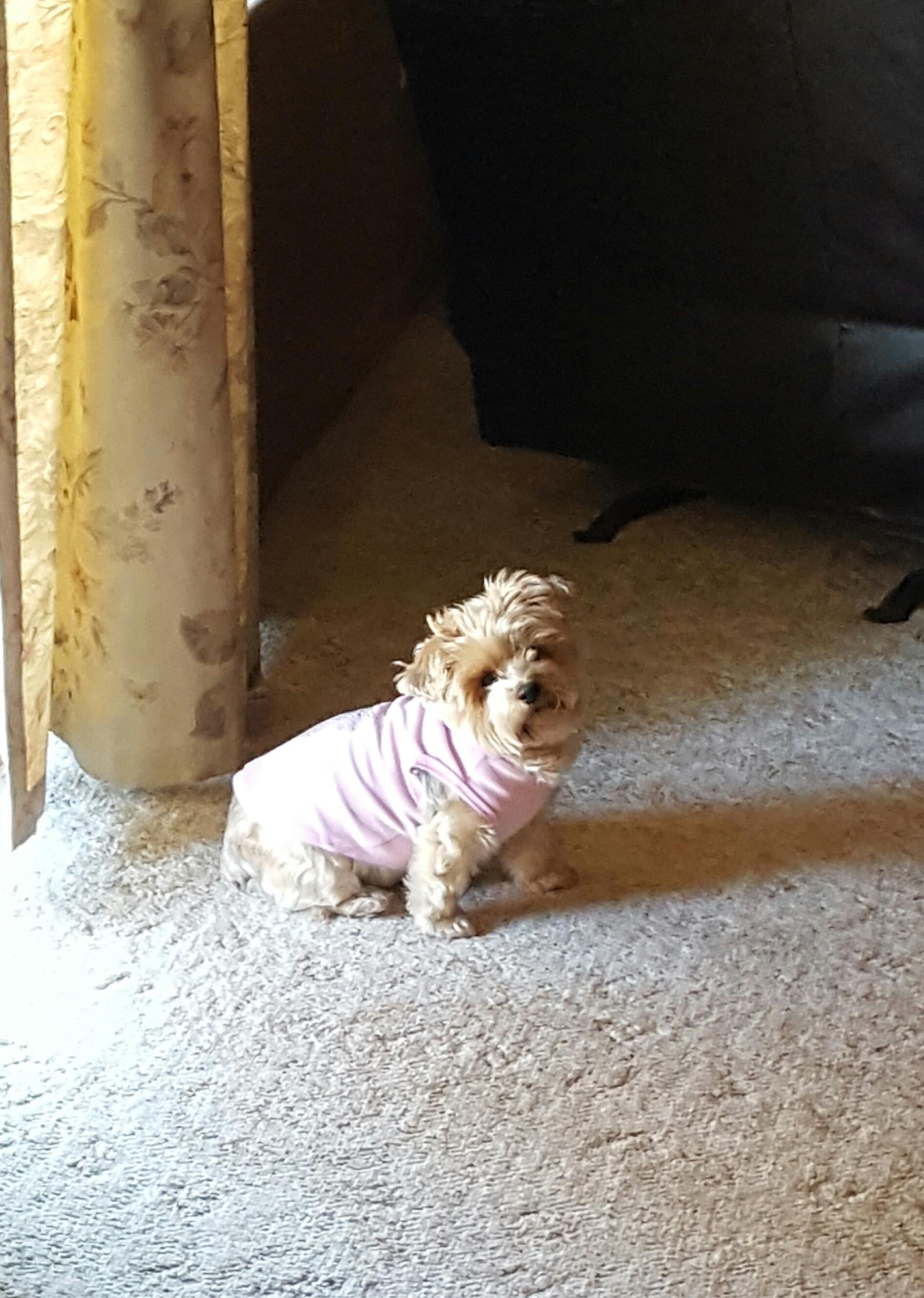 Question details sensitive content