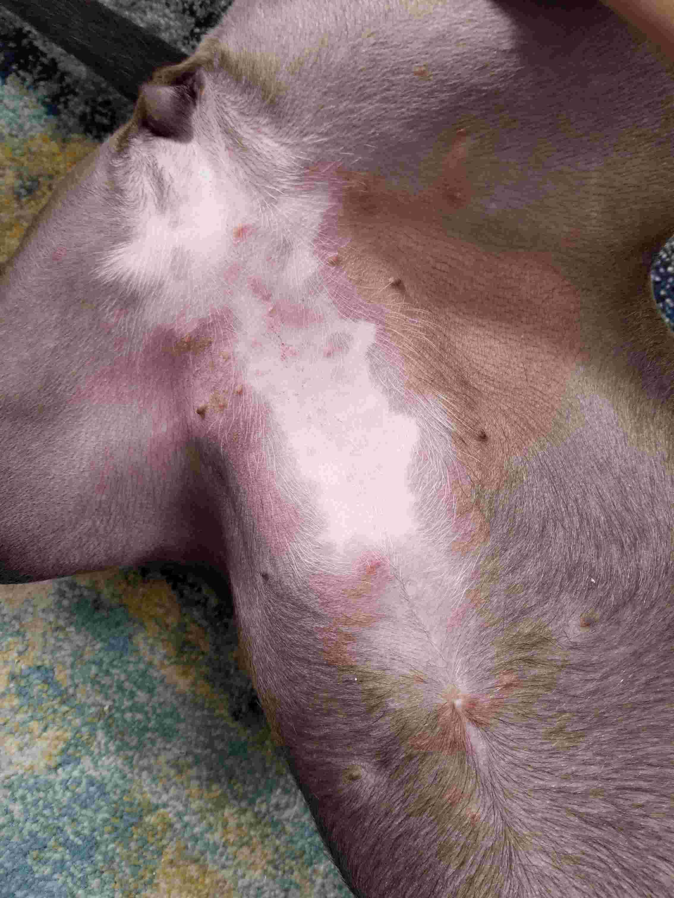 Question details sensitive content