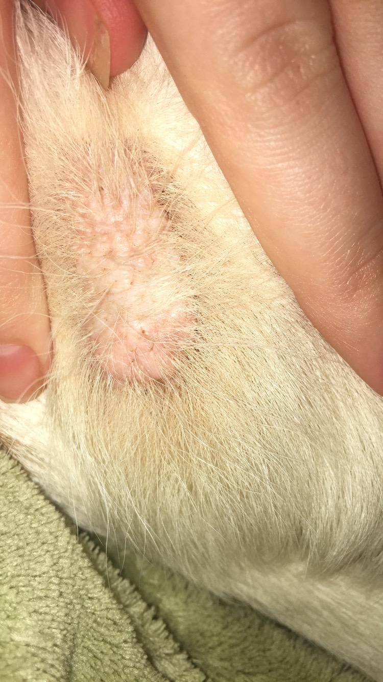 Question details sensitive content