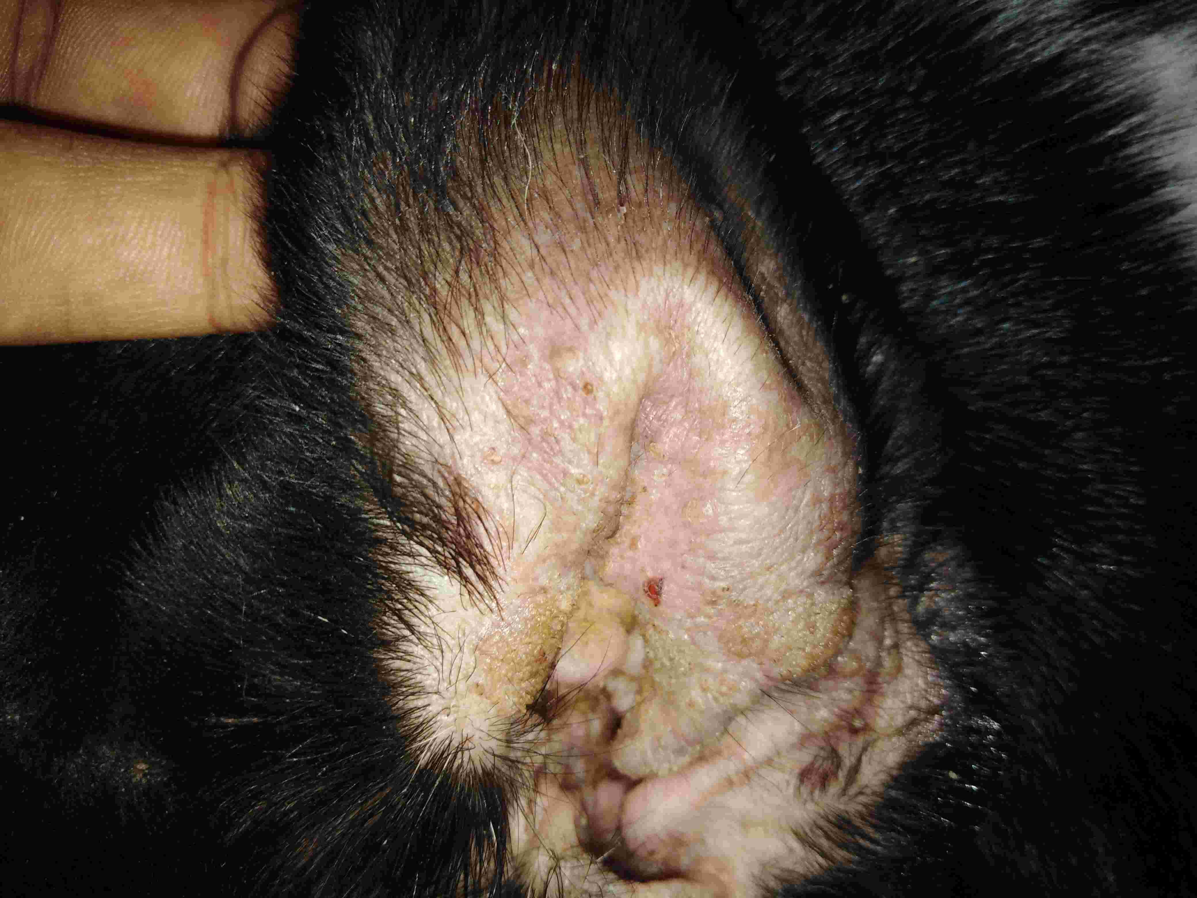 Question details sensitive content