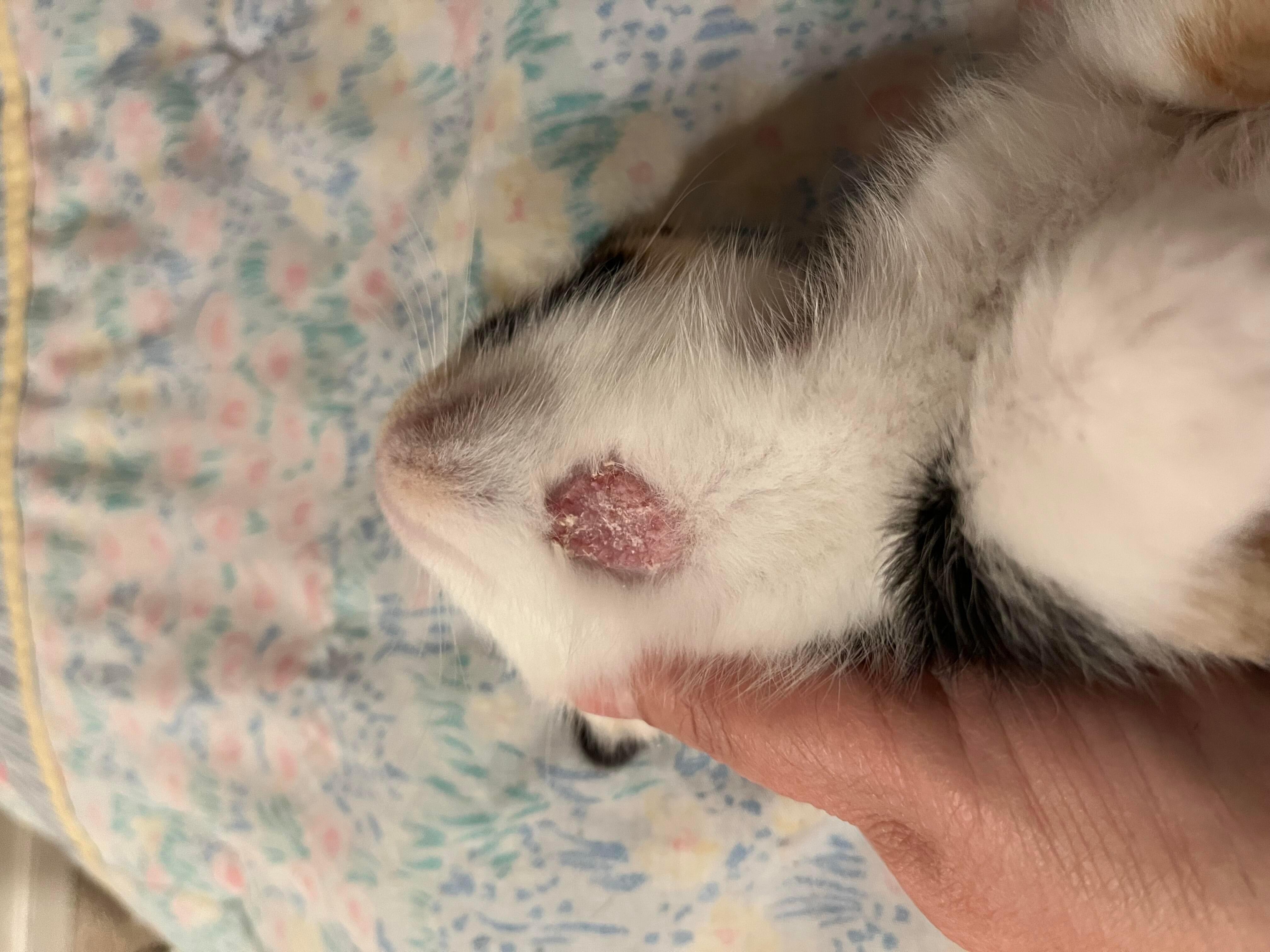 Question details sensitive content