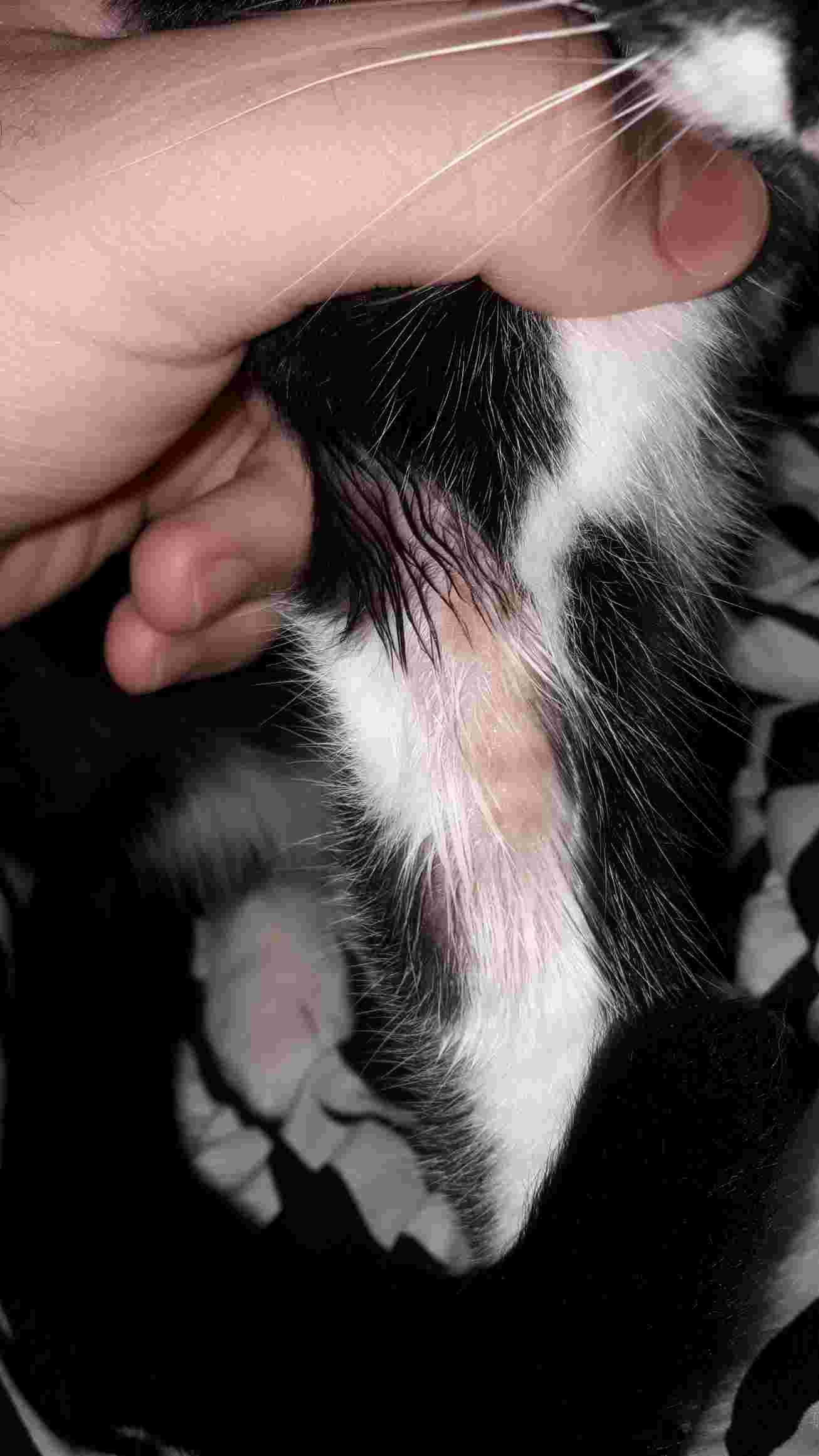 Question details sensitive content