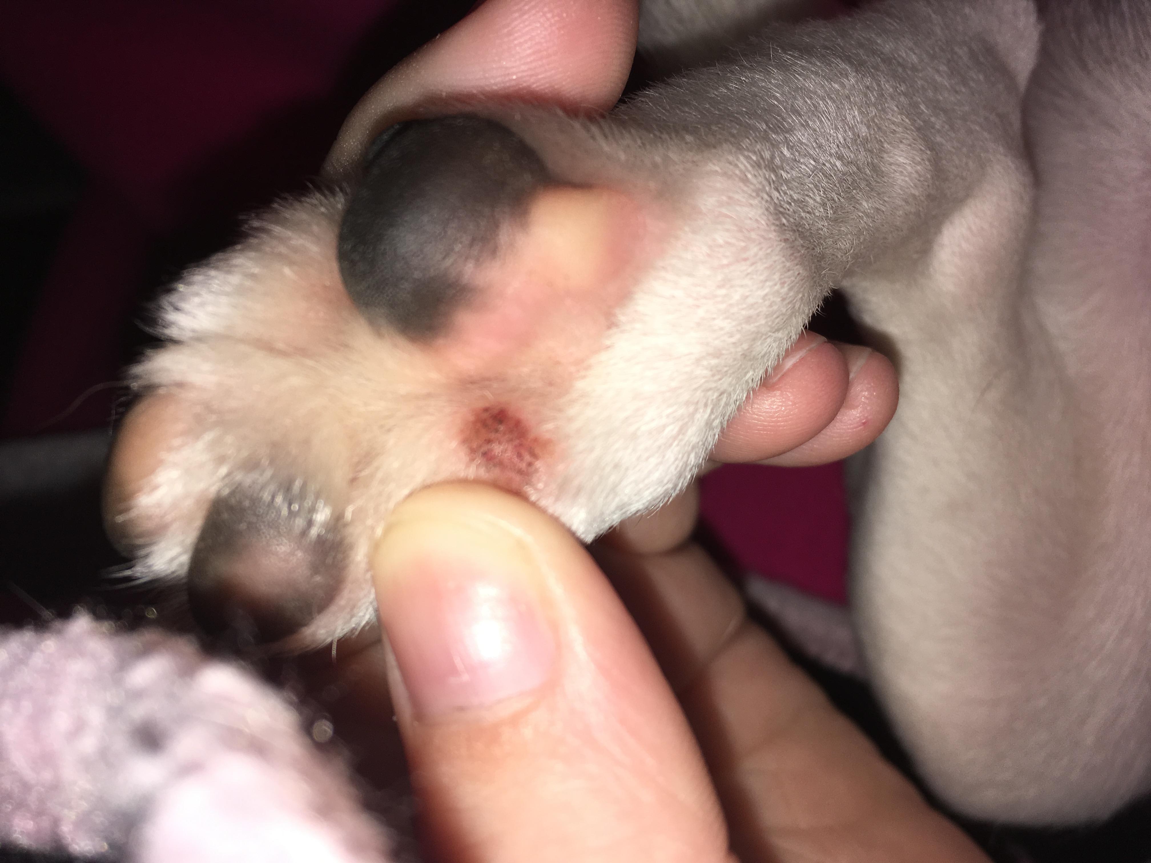 Question details sensitive content