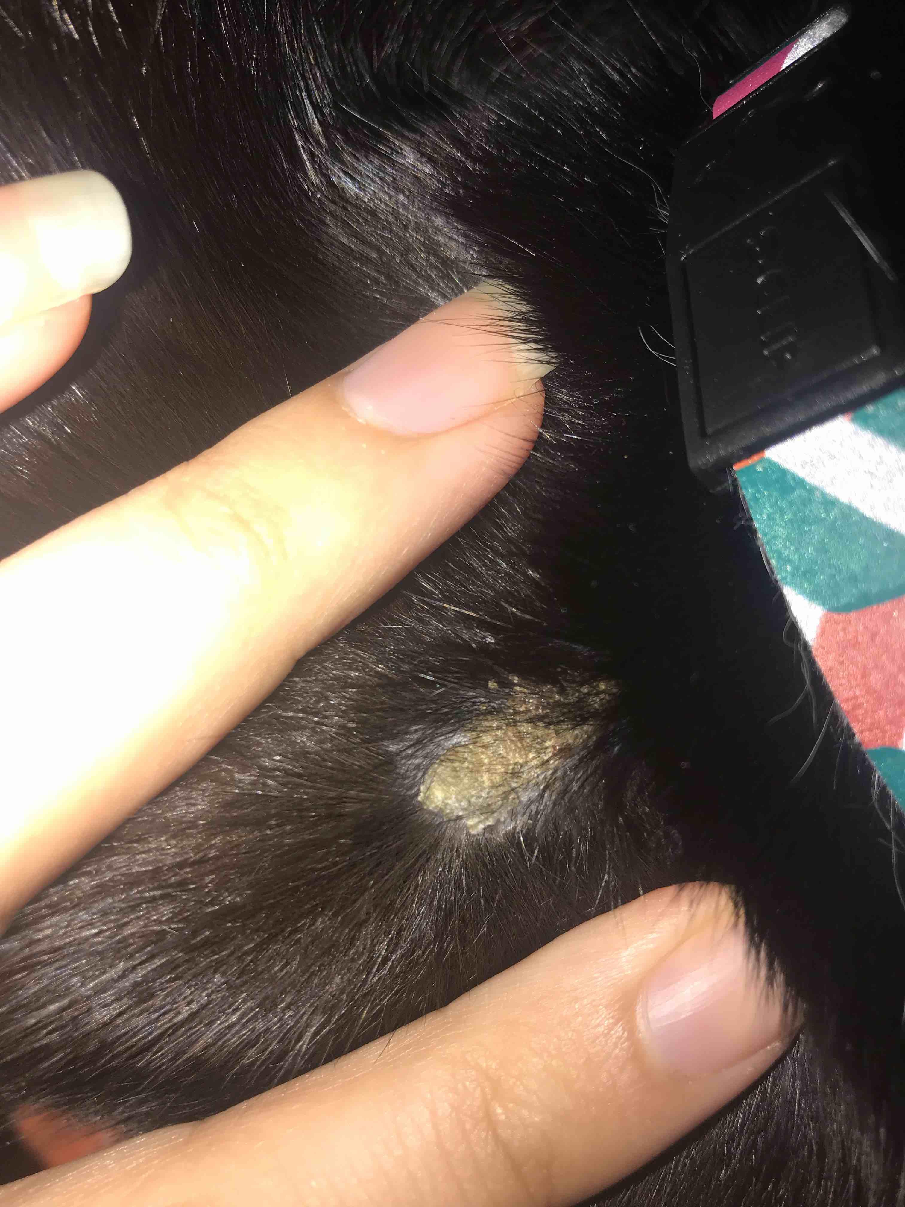 Question details sensitive content