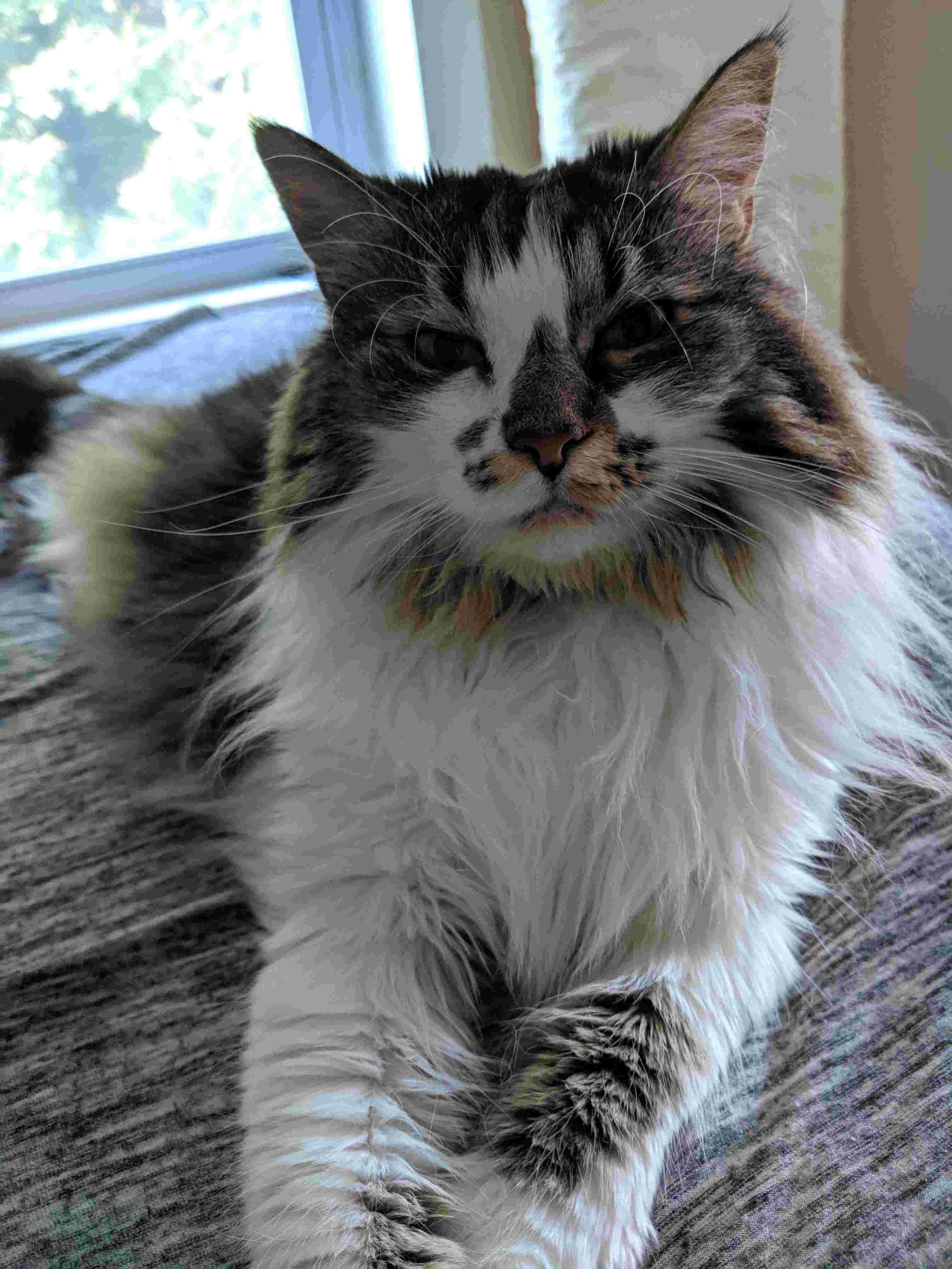 Question details sensitive content