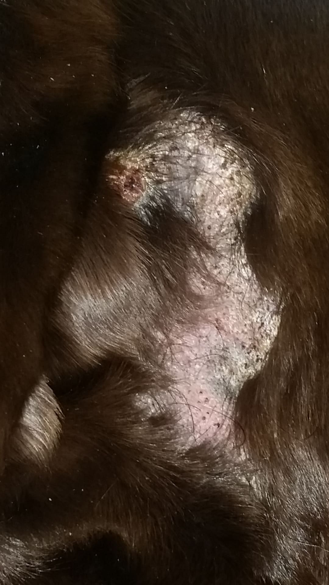 Question details sensitive content