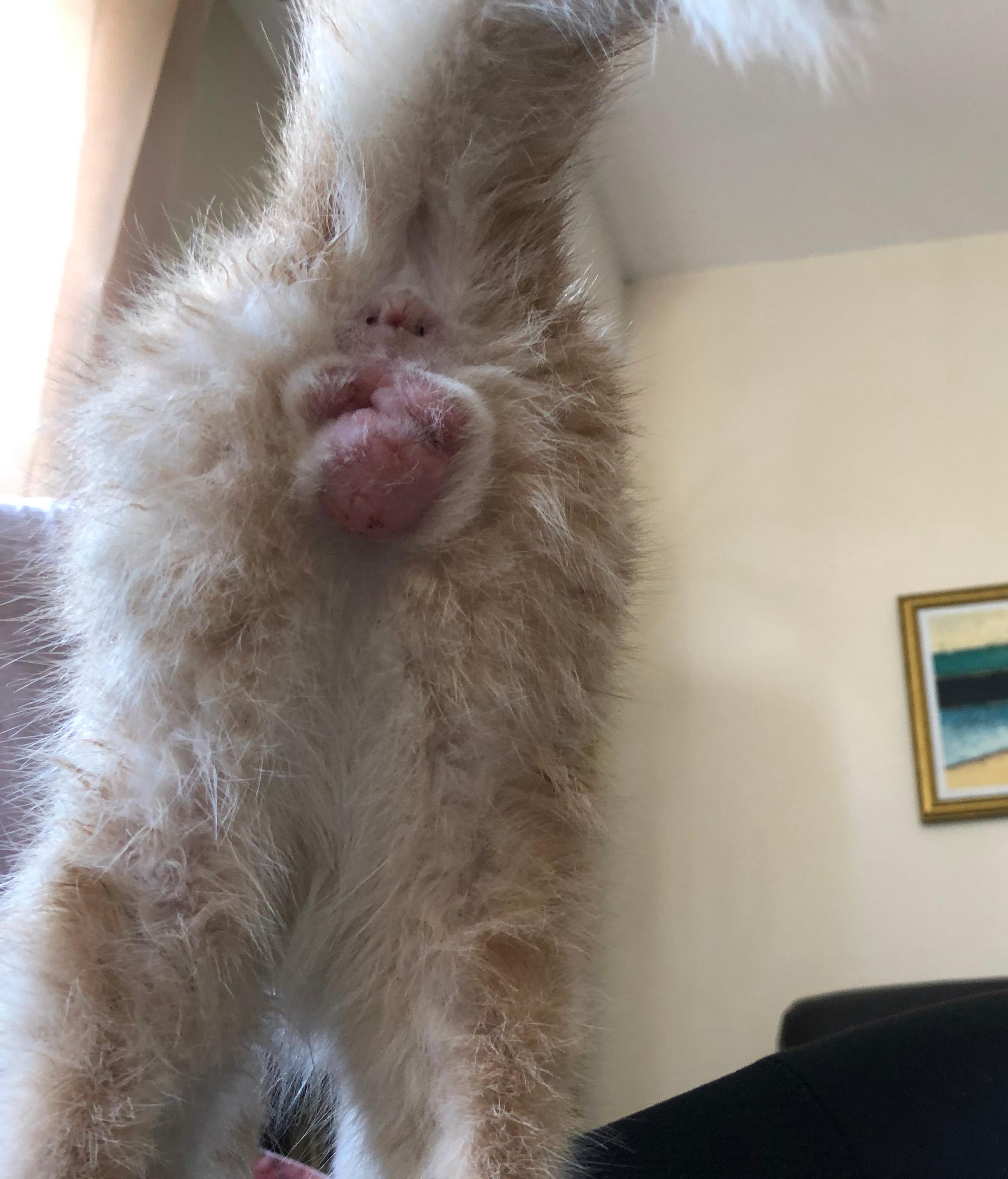 Question details sensitive content