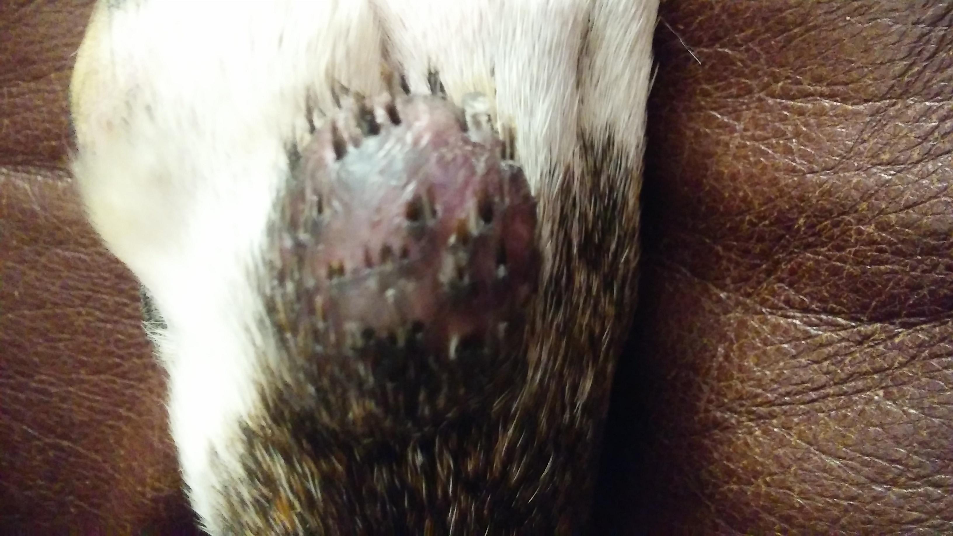 Question details sensitive content