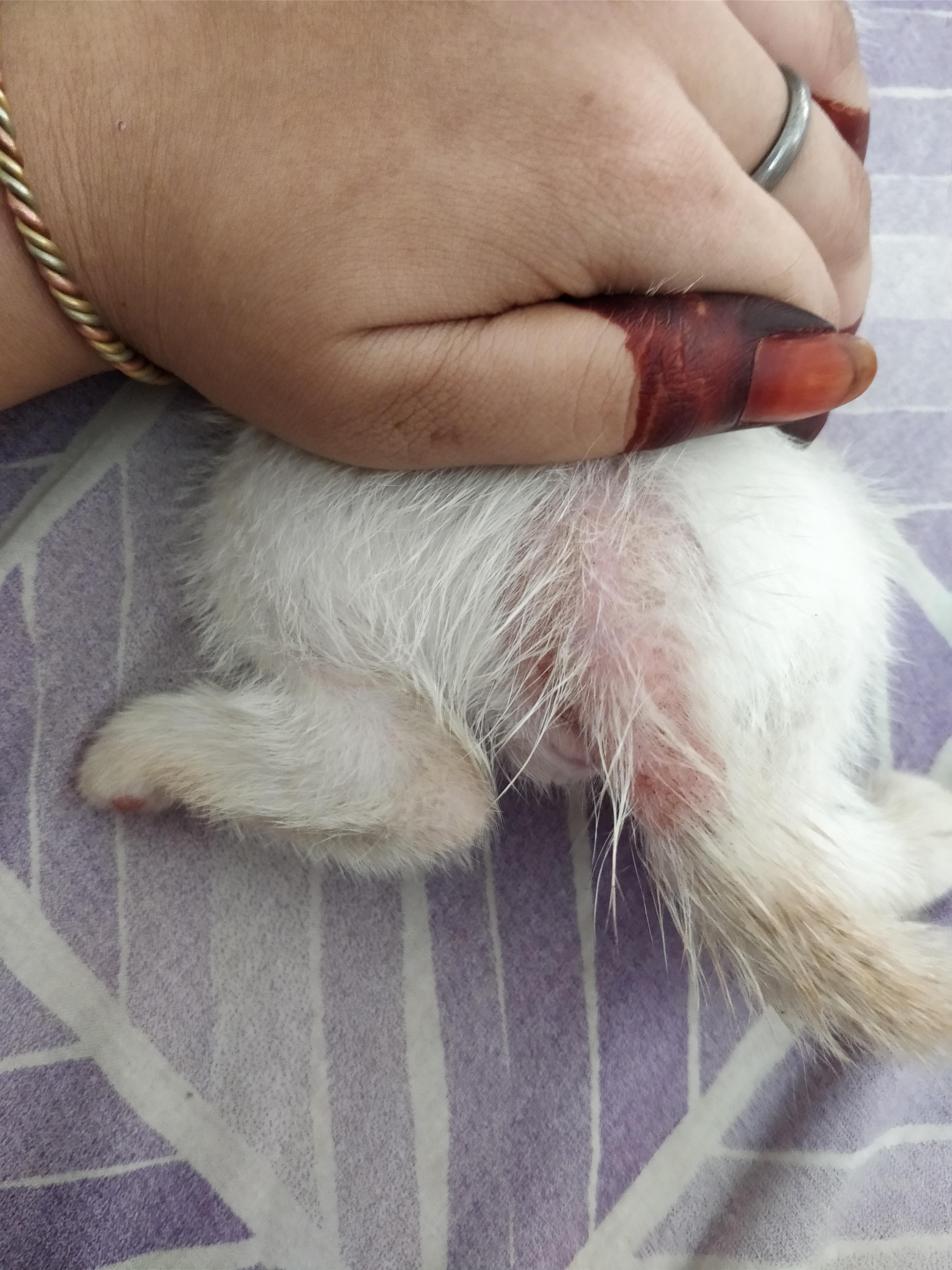 Question details sensitive content