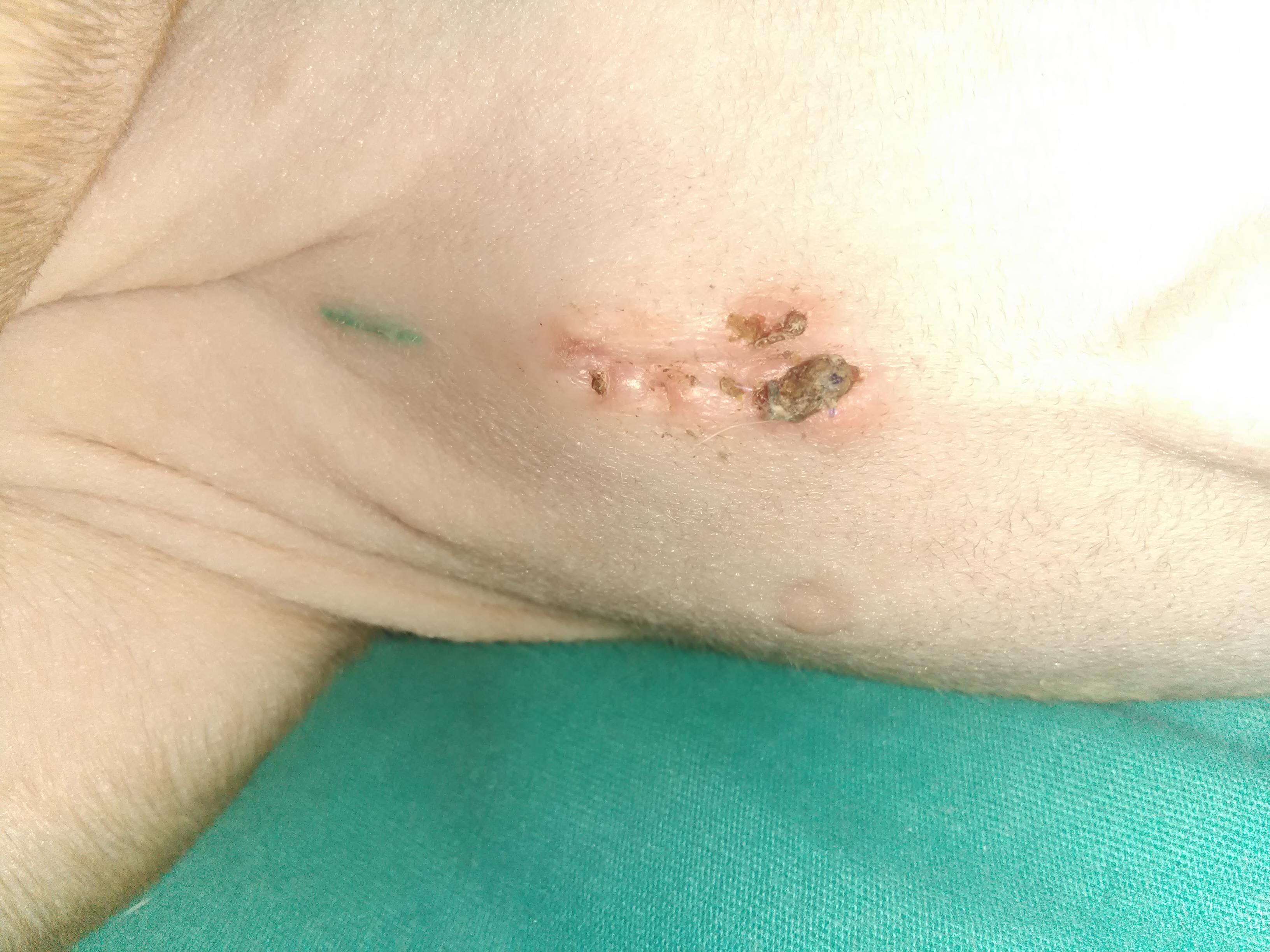 Question details sensitive content