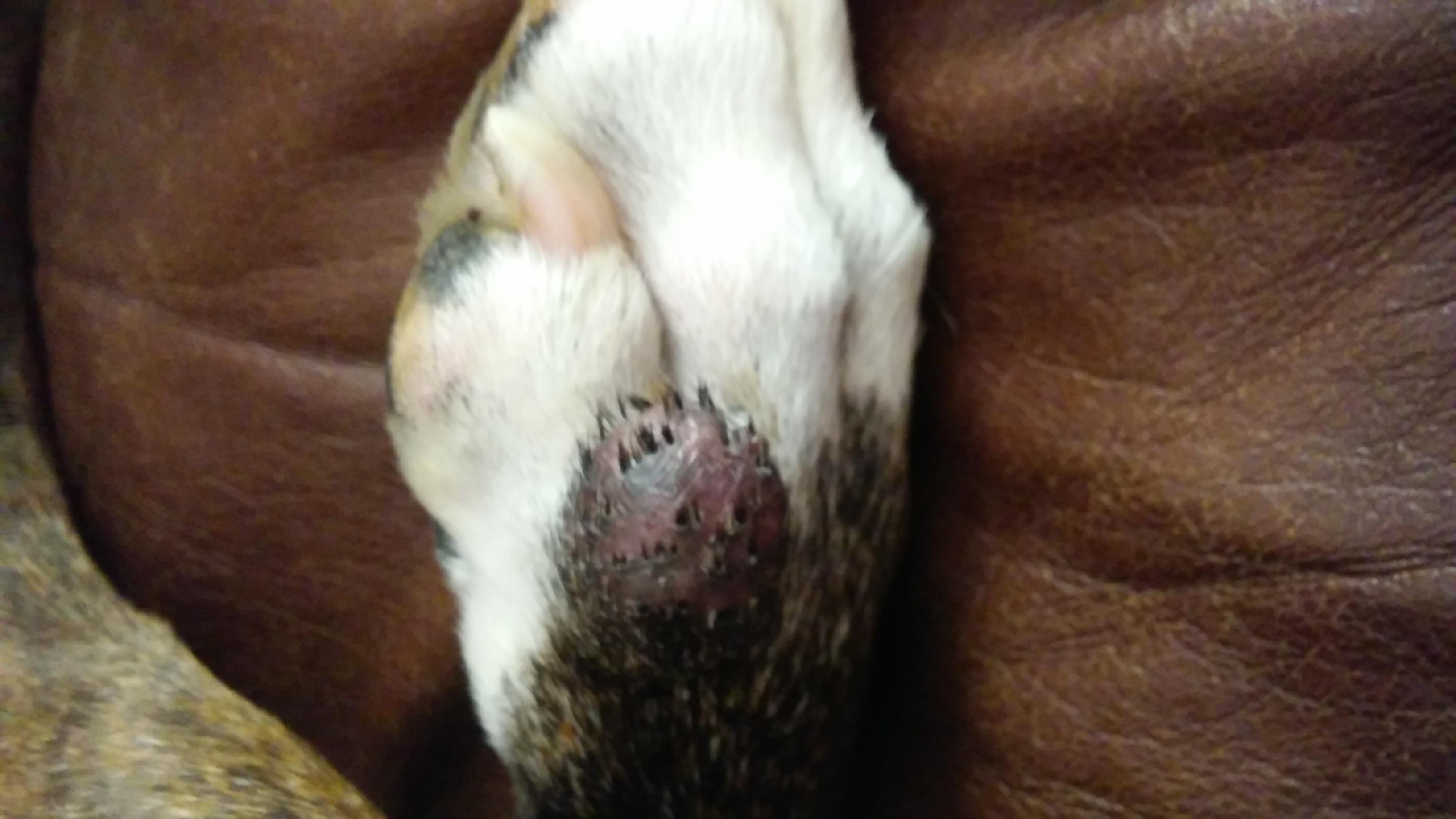 Question details sensitive content