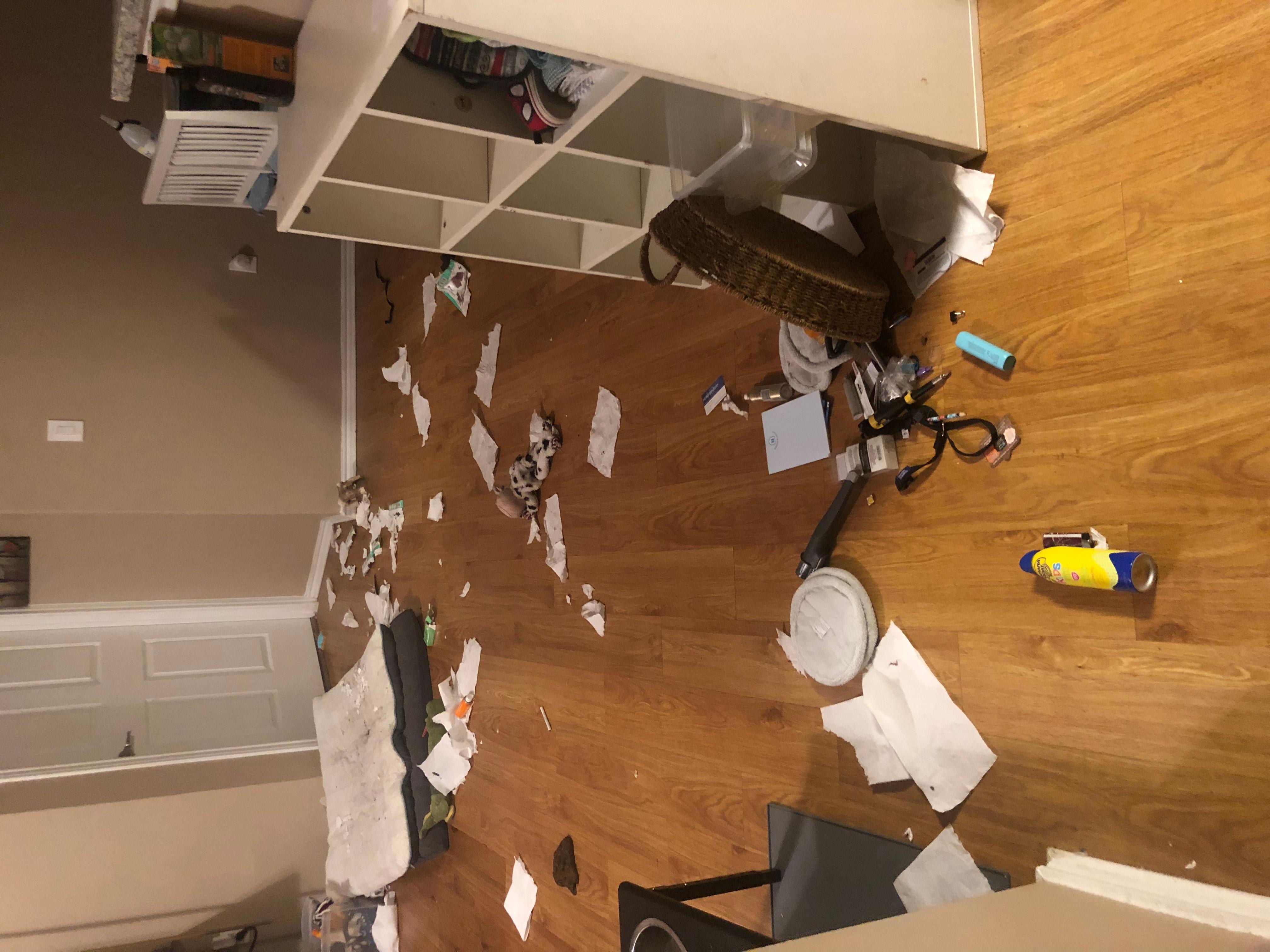 Question details sensitive content