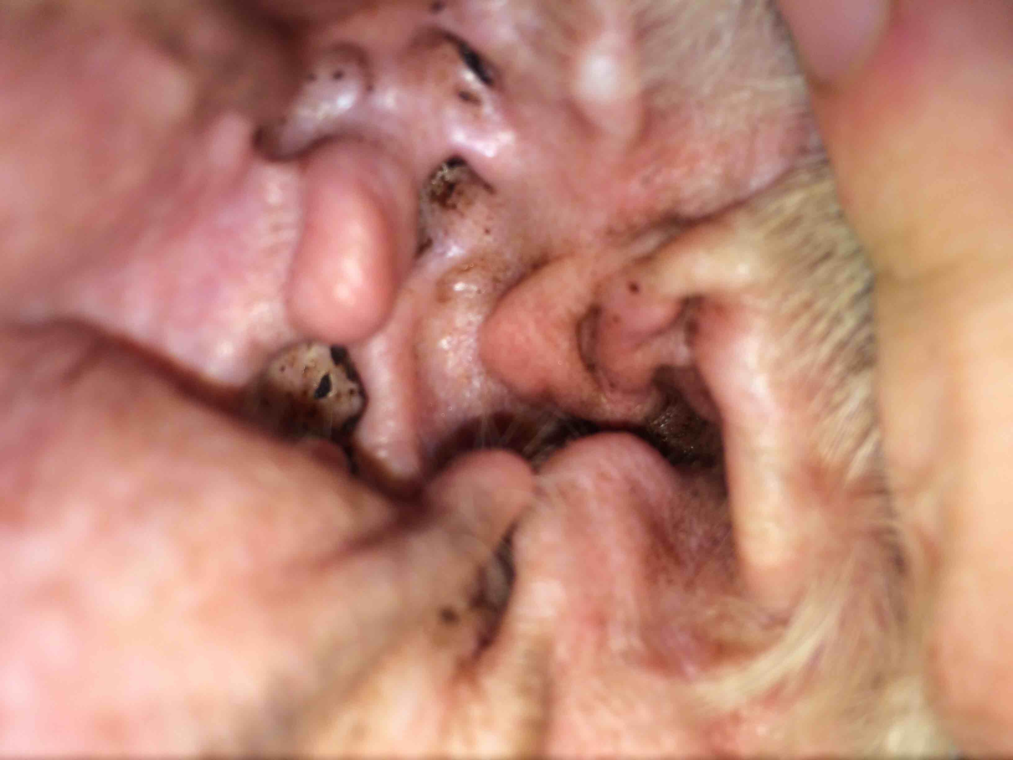 Question details sensitive content