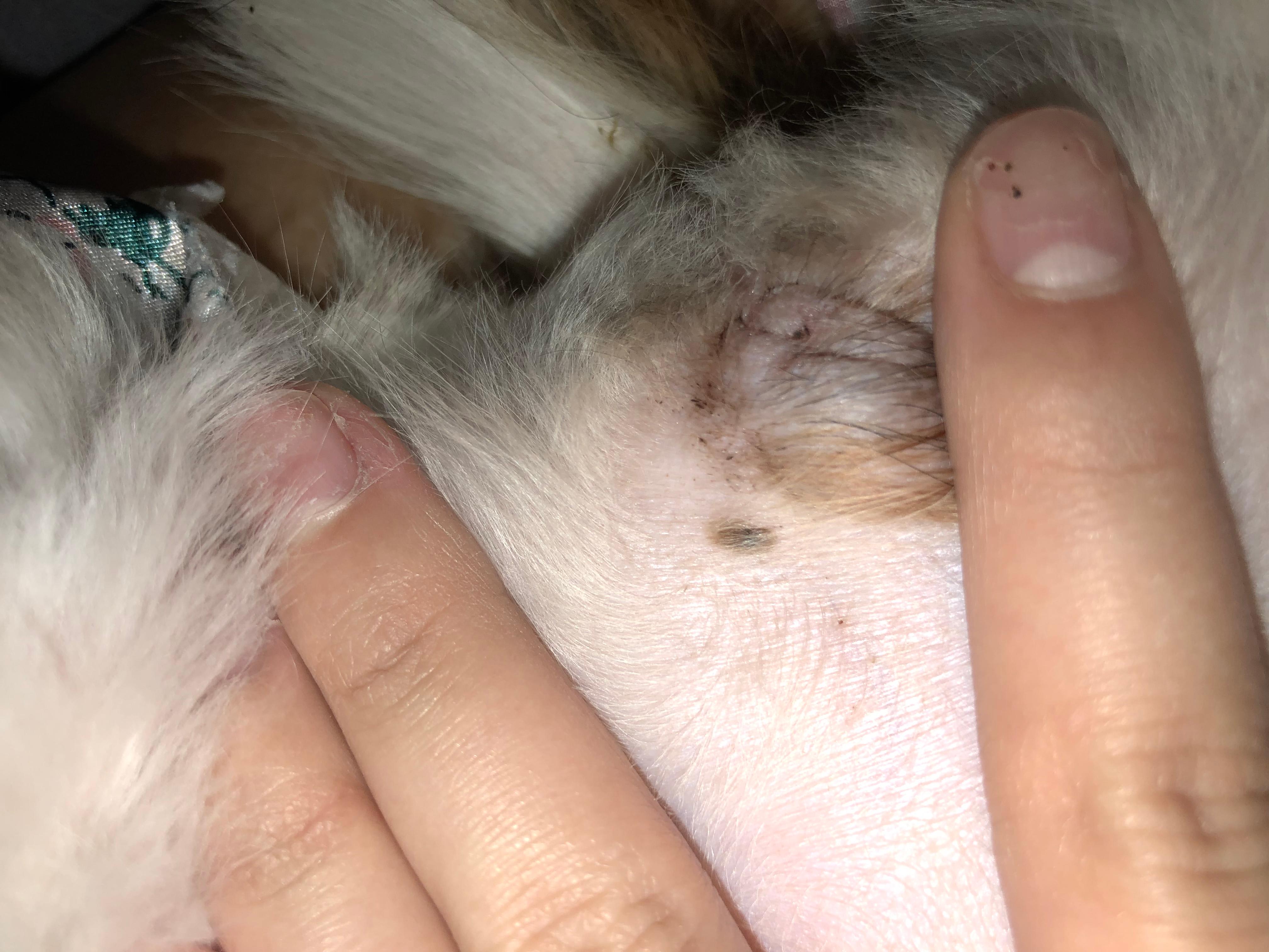 Question details sensitive content