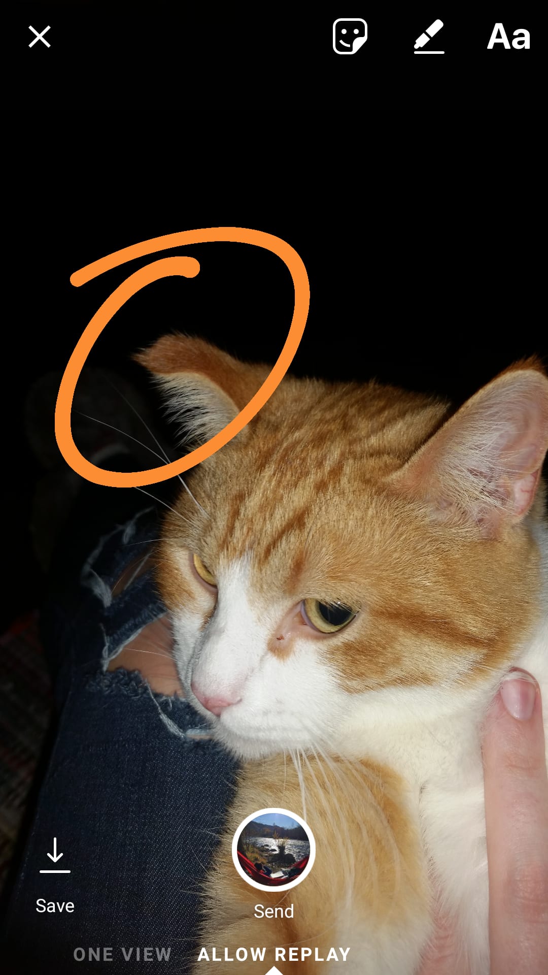 Question details sensitive content