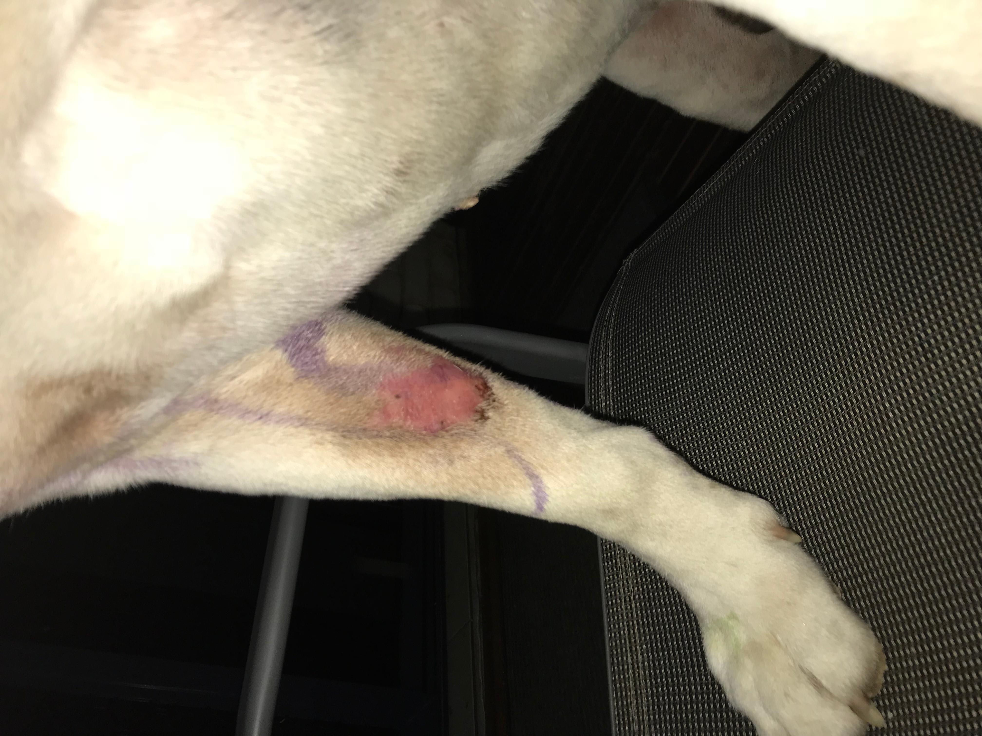 Question details sensitive content