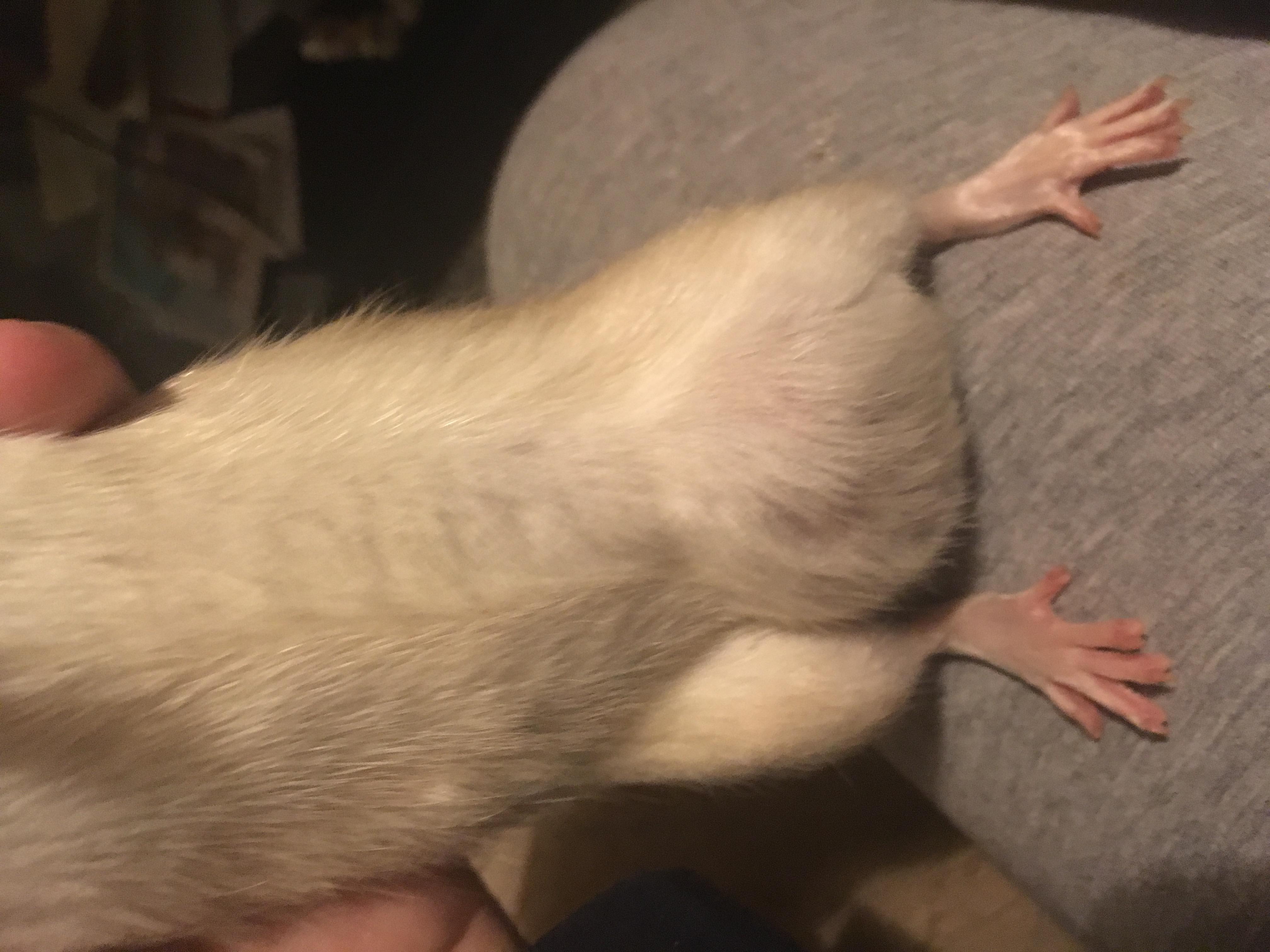 Question details sensitive content