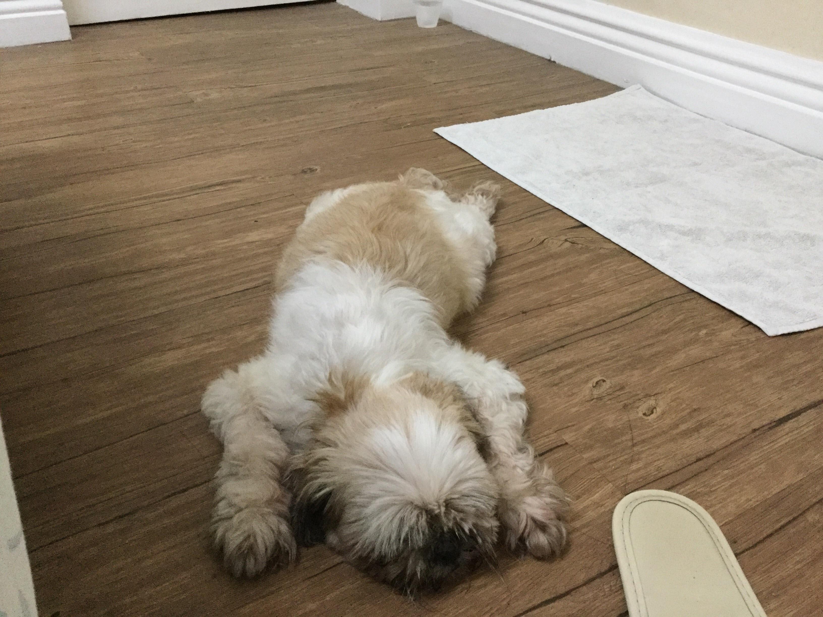 Question details sensitive content