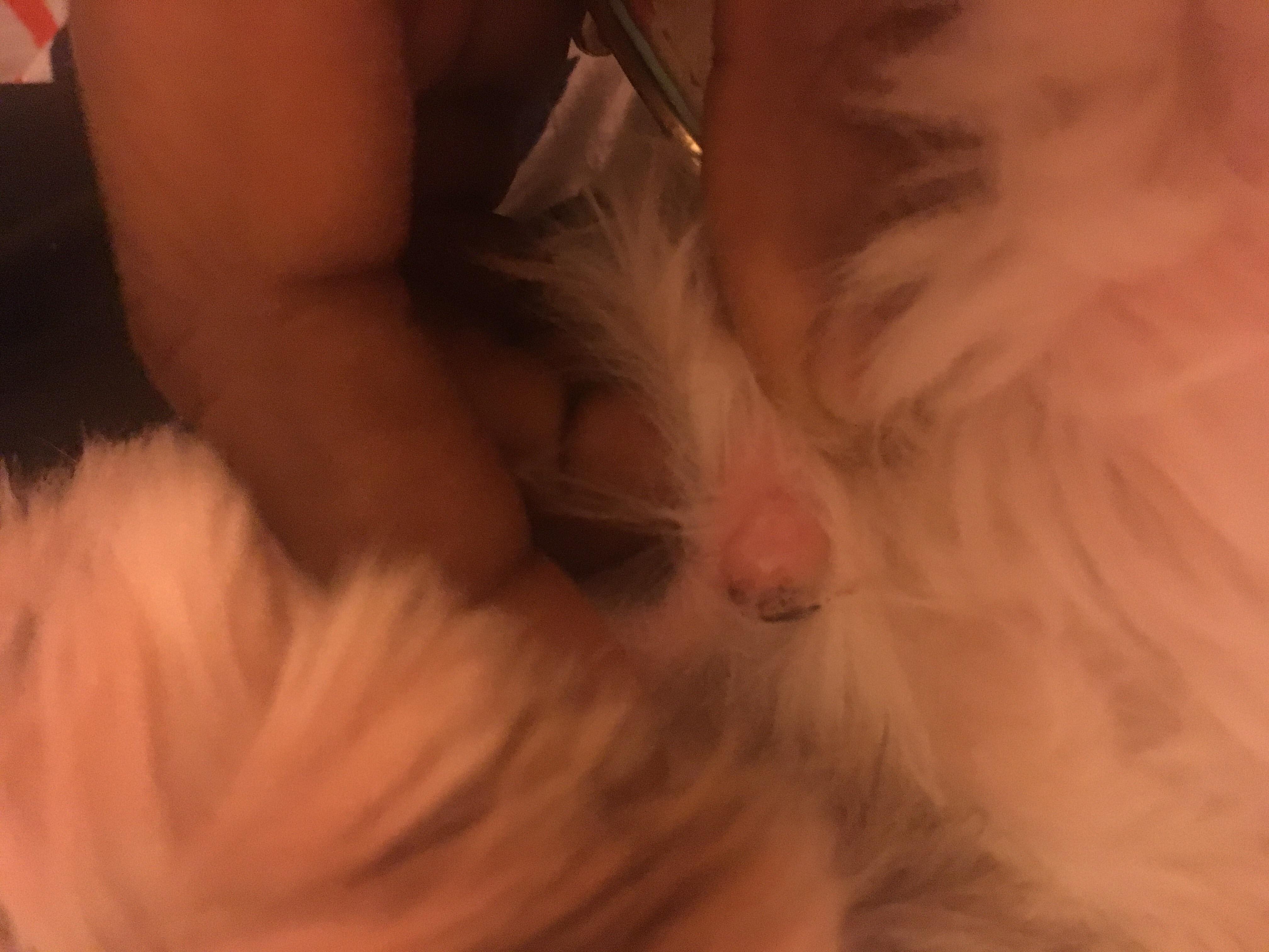 Question details sensitive content