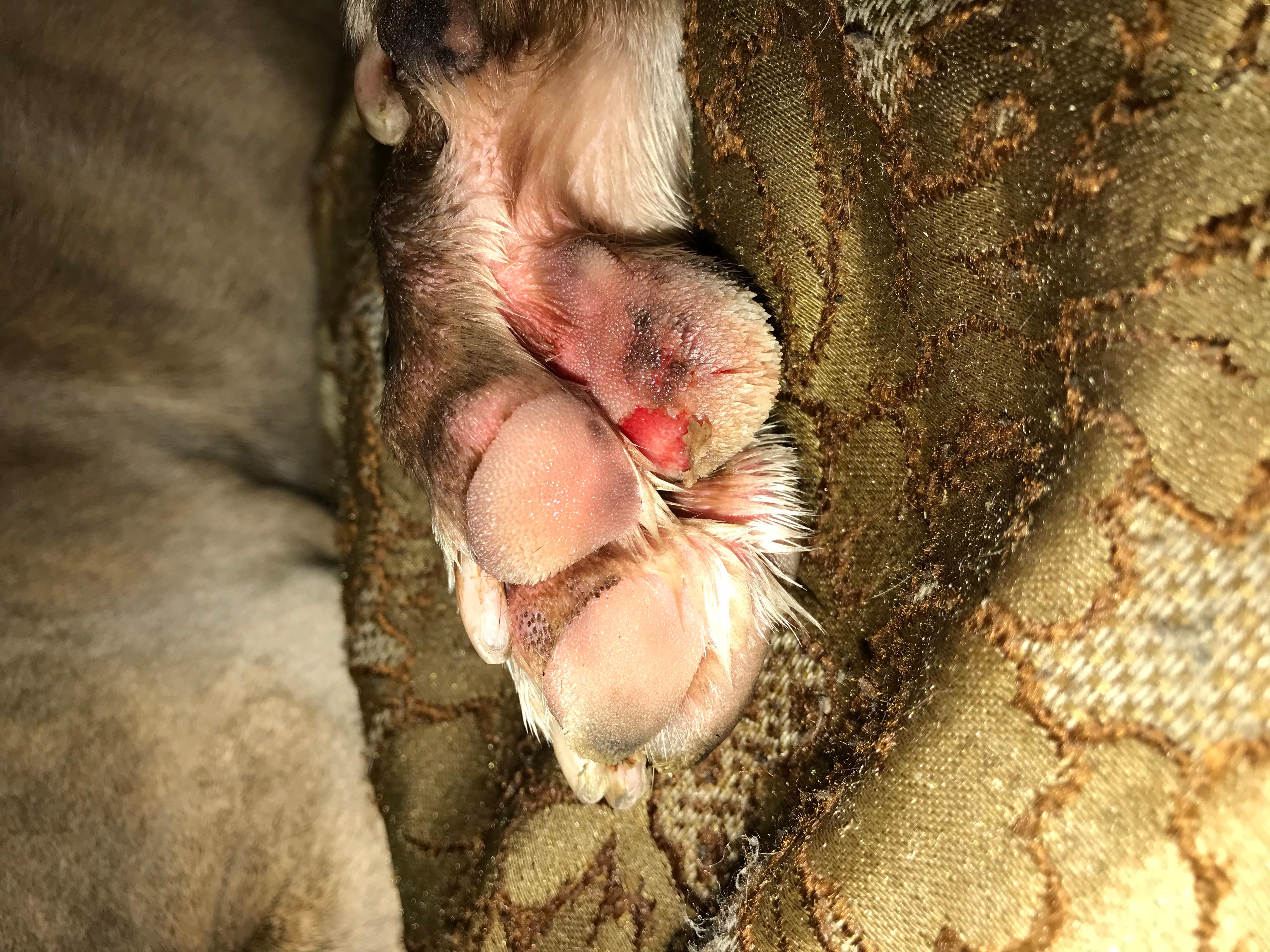 Question details sensitive content