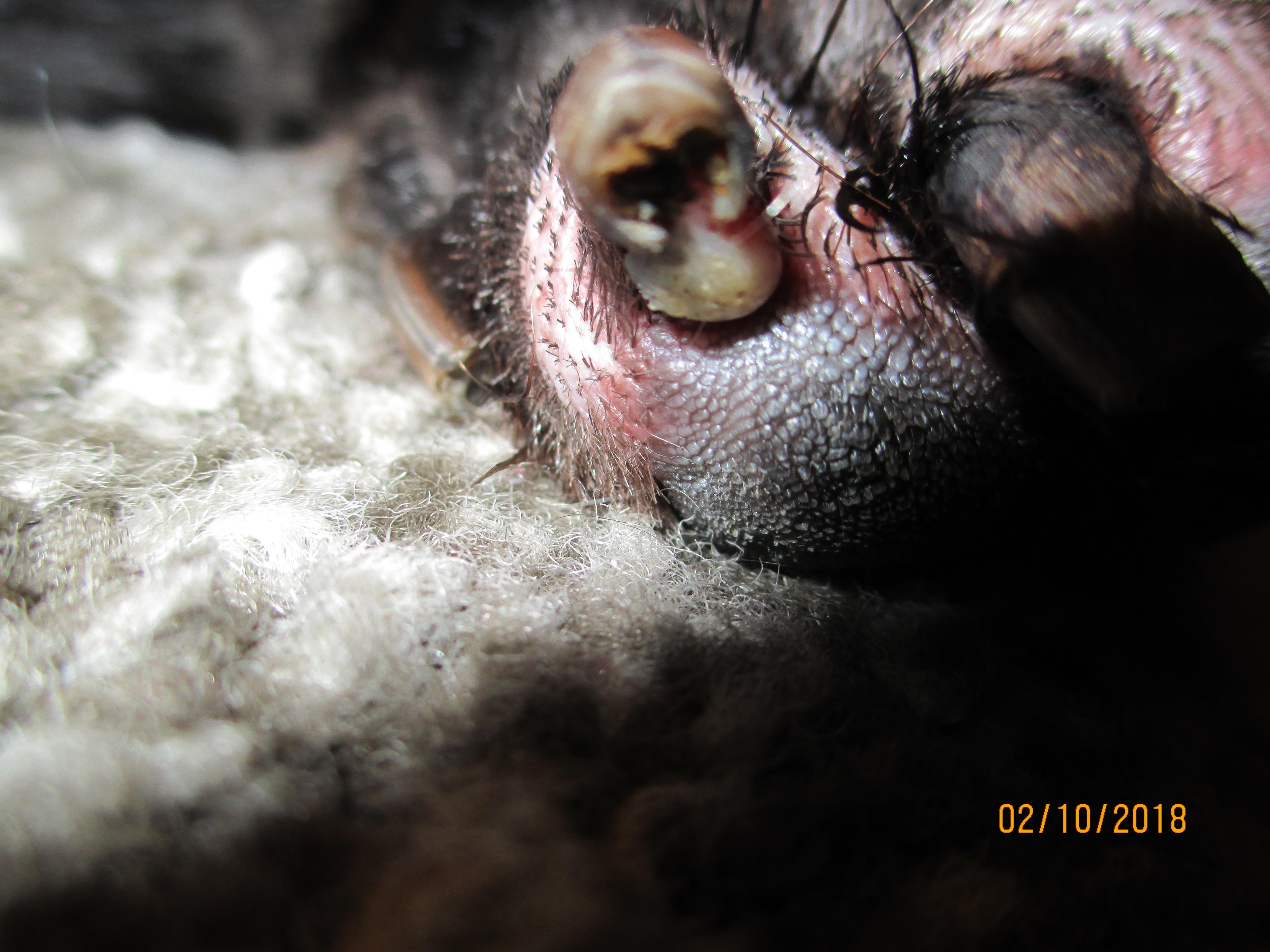 Question details sensitive content