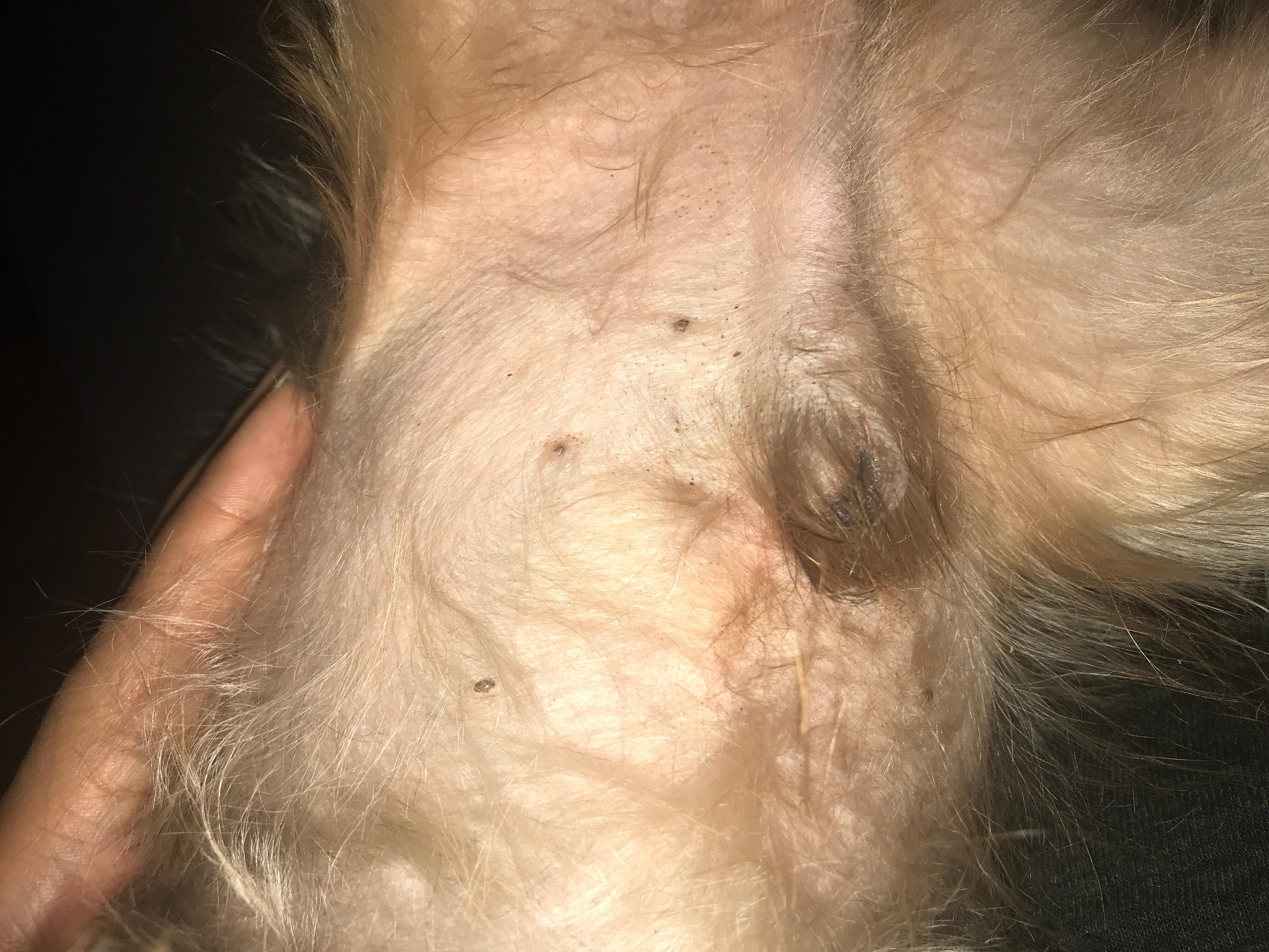 Question details sensitive content