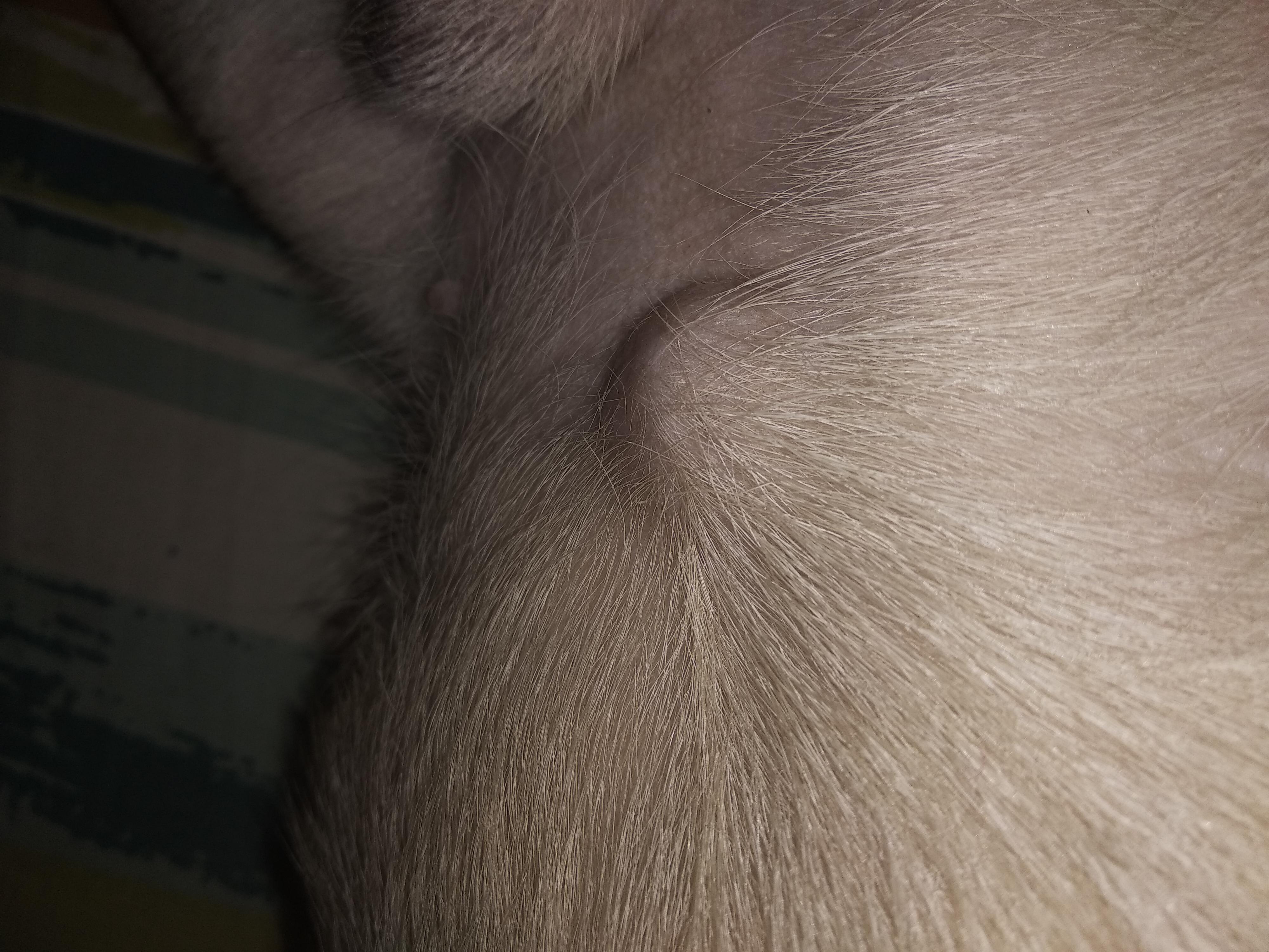 Question details sensitive content