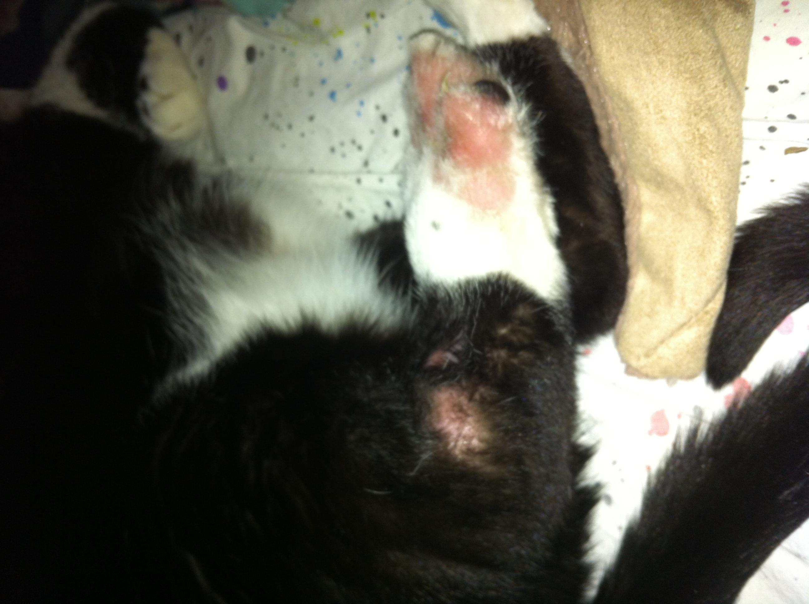 Question details sensitive content