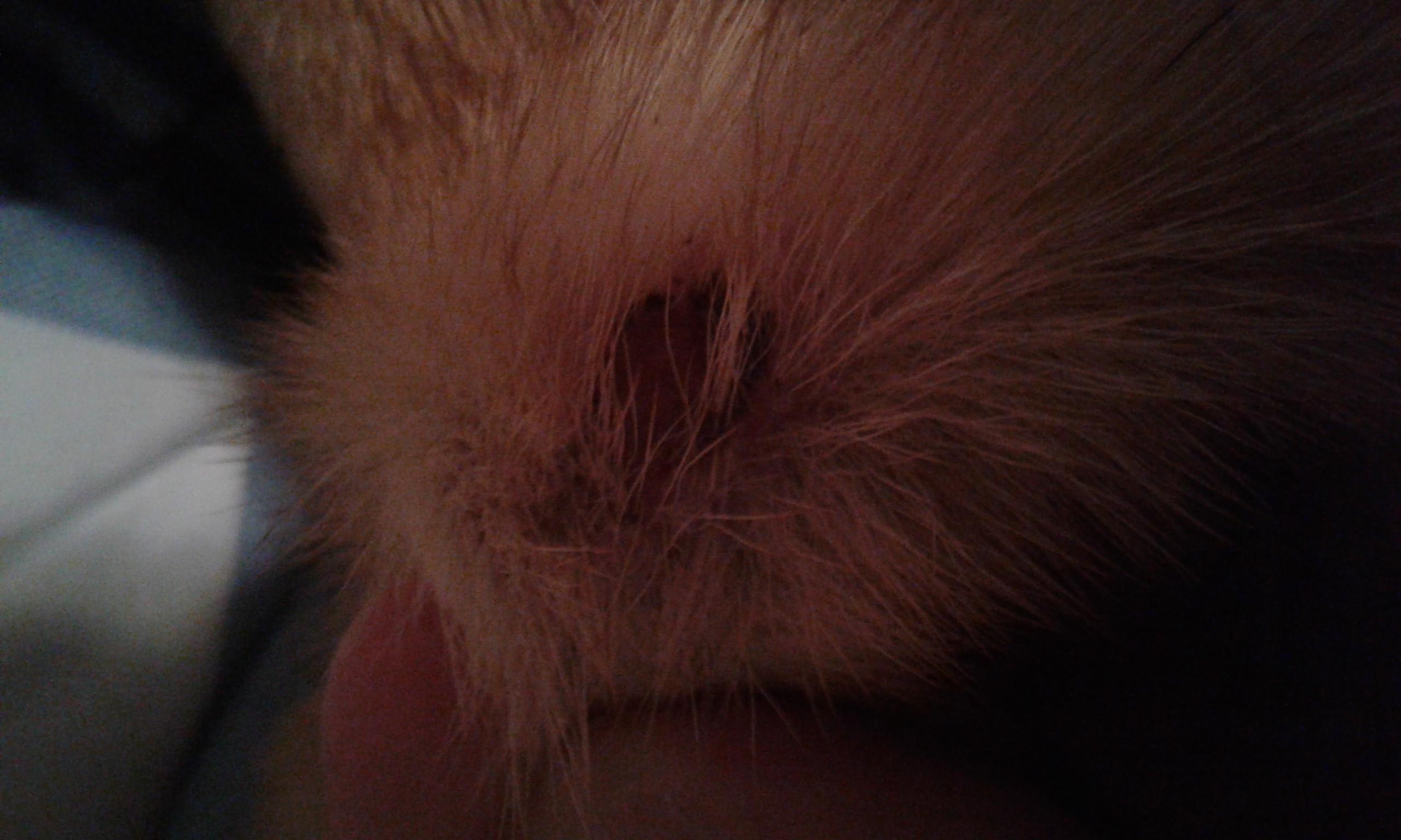 Question details sensitive content