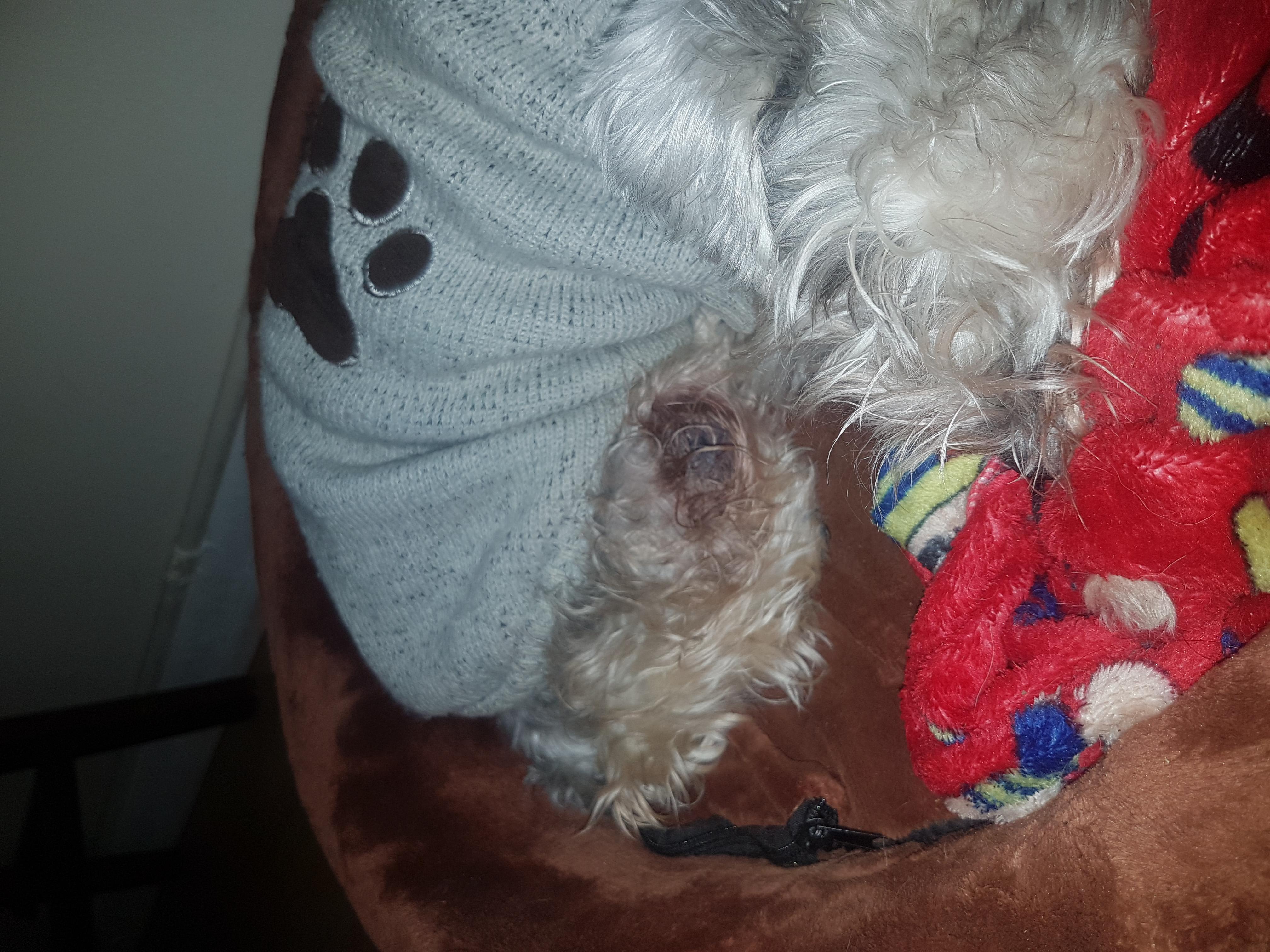 Question details sensitive content