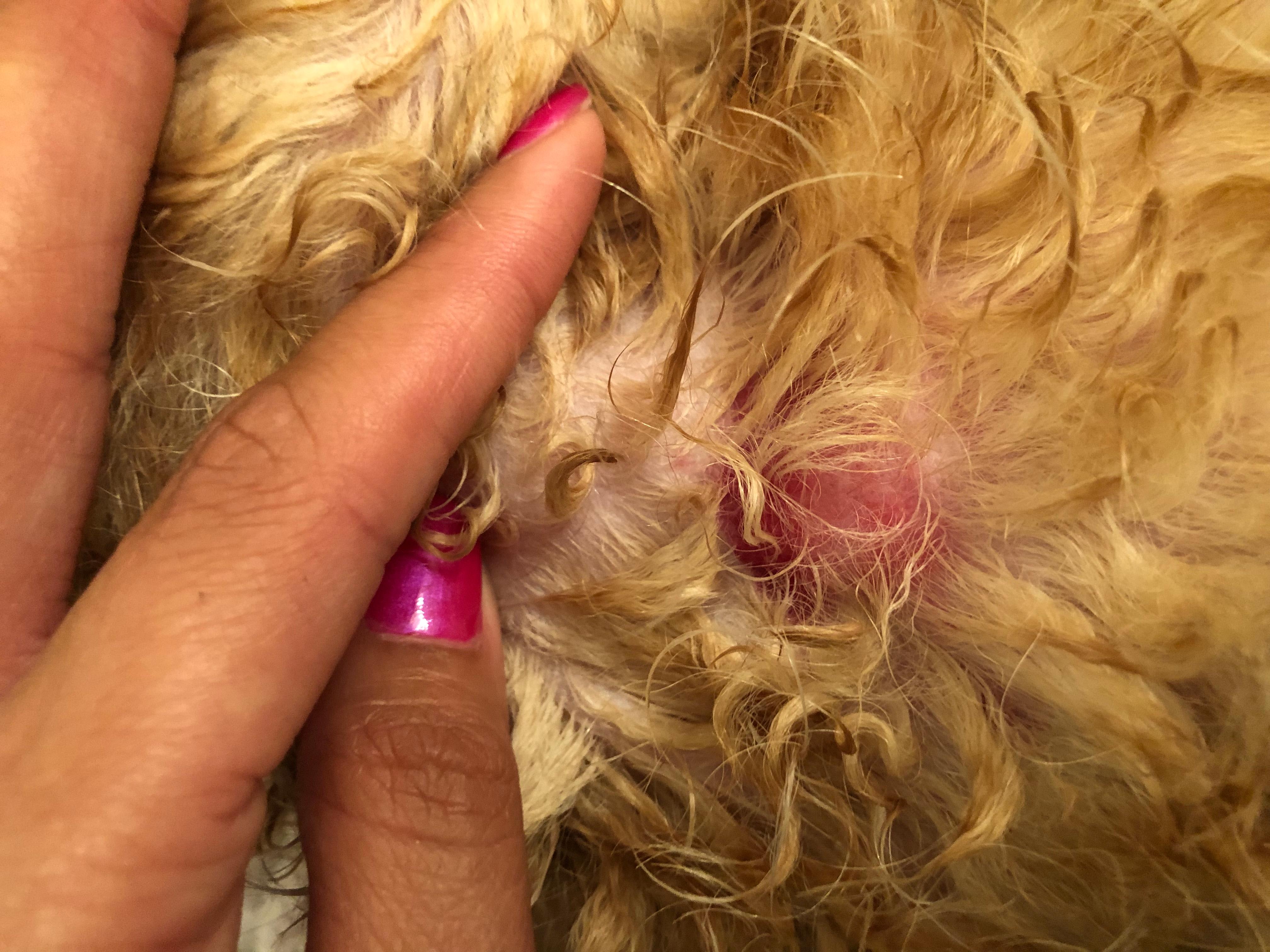 Question details sensitive content